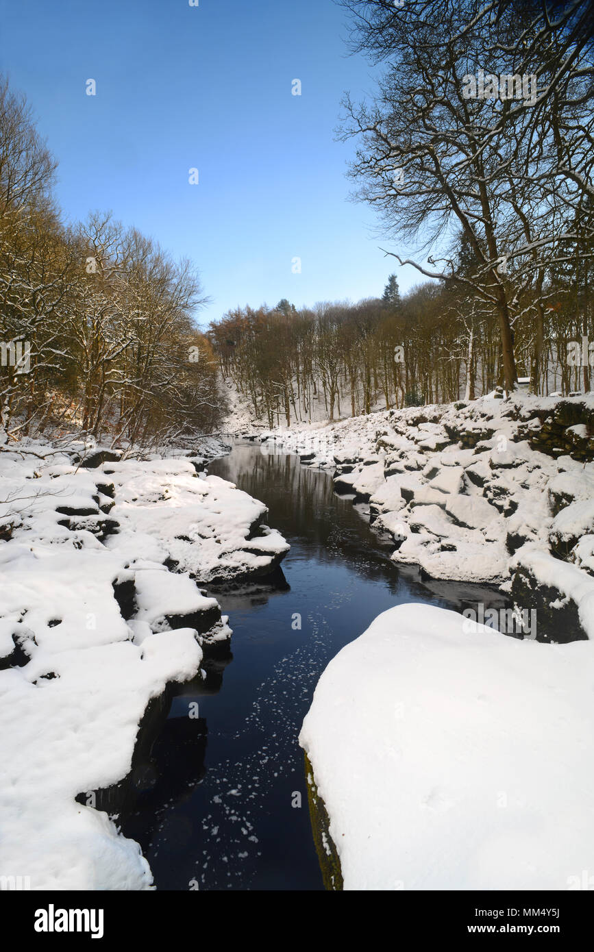 Schnee und Eiszapfen von der River Wharfe durch strid Wald fließt, gefährlichen Bereich von Fluss, wharfedale yorkshire dales Vereinigtes Königreich Stockfoto