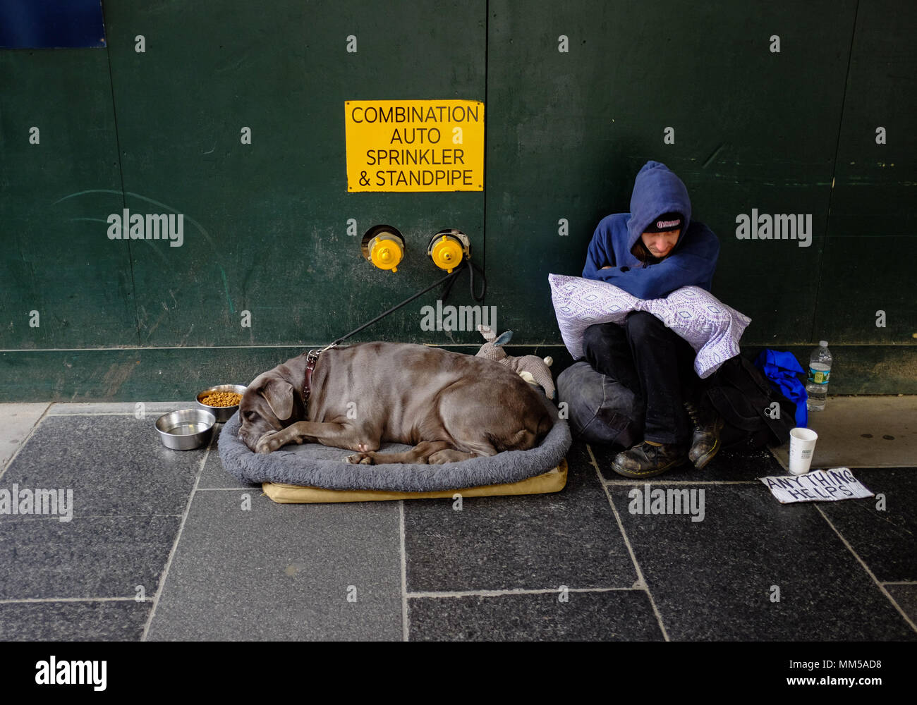 Ein obdachloser Mann und seinem Hund während der Tag in Manhattan, New York City Mai 6, 2018. Stockfoto