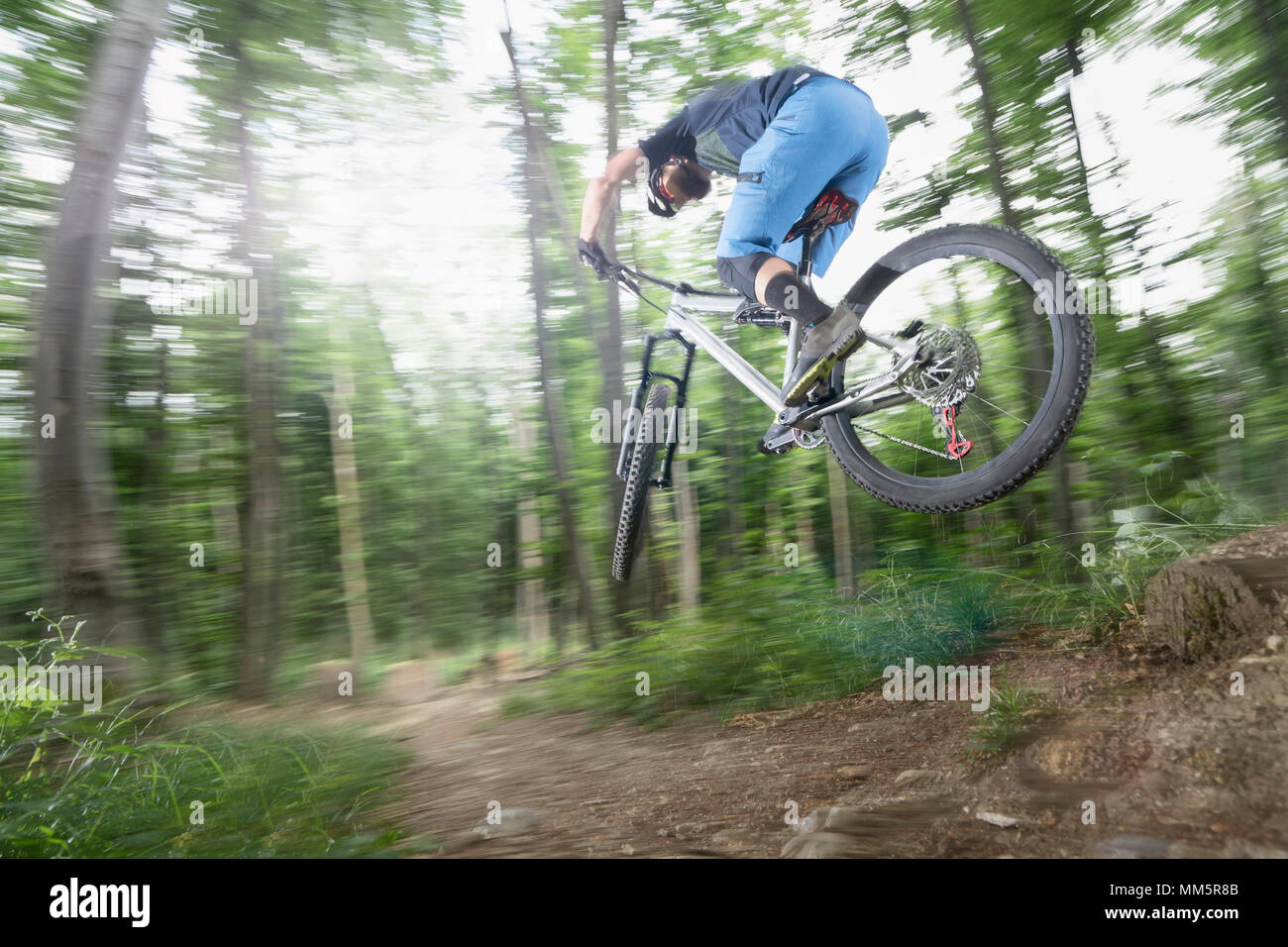 Biker Durchführung Sprung mit dem Fahrrad auf der Spur in Wald, Bayern, Deutschland Stockfoto