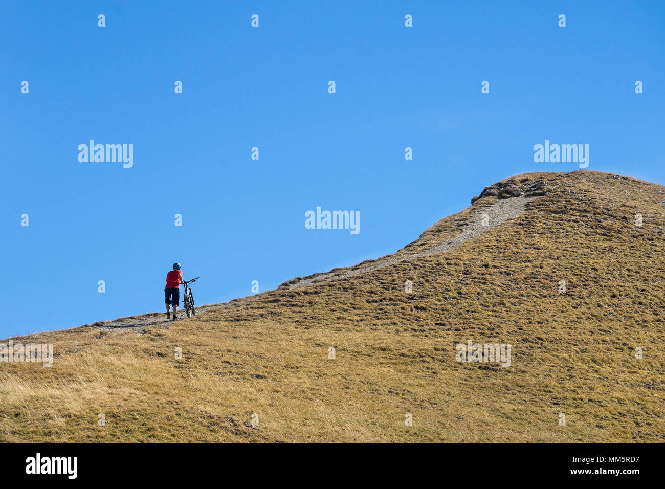 Biker Wandern Fahrrad bergauf in alpiner Landschaft, Tirol, Österreich Stockfoto
