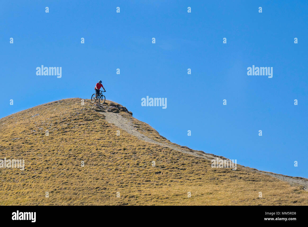 Mountain Biker, Down Hill in alpiner Landschaft, Tirol, Österreich Stockfoto
