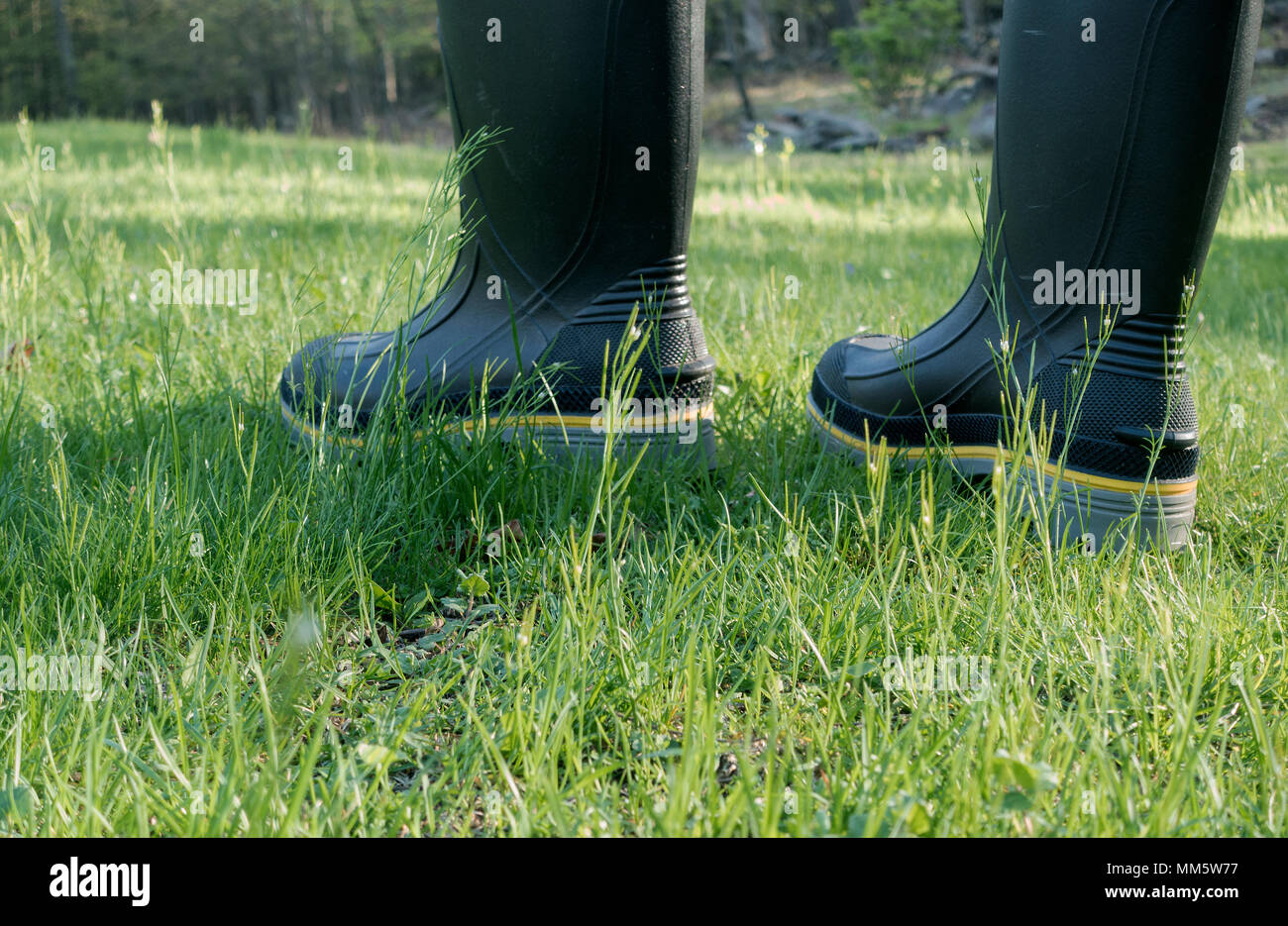 Nicht erkennbare Person in Gummi Schuhe Wandern im Gras Stockfoto