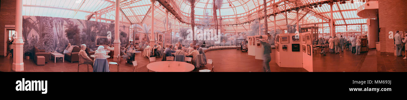 Panoramablick auf die infra red Interior shot zeigen die Pflanzen cafe Ausstellung der People's Palace, Gewächshaus, Wintergarten, Glasgow Green, Glasgow, Großbritannien Stockfoto