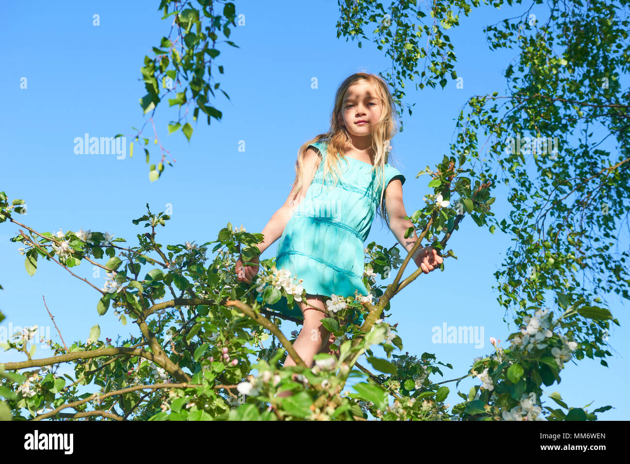 Kind, Mädchen spielen klettern auf einen Baum in einem Sommer Park Outdoor. Konzept der gesunden spielen und die Entwicklung des Kindes in der Natur Stockfoto