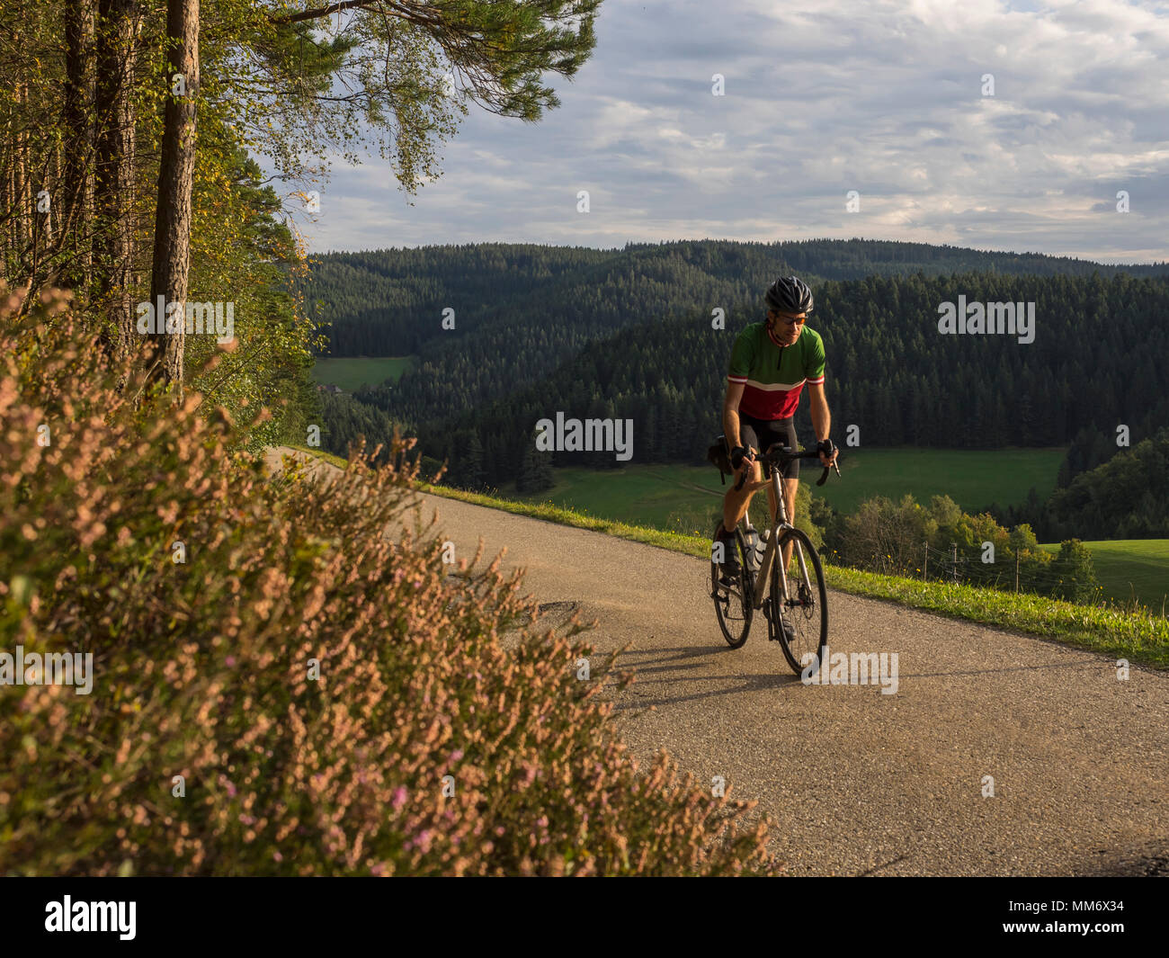 Mann reiten Rennrad auf Radtour im mittleren Schwarzwald, Deutschland Stockfoto