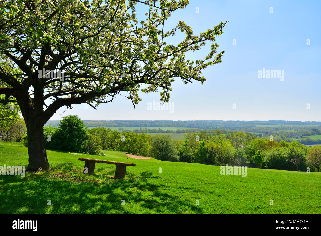 Leere Sitzbank unter blühenden Kirschbaum in Parklandschaft mit Blick auf gordano Tal Stockfoto