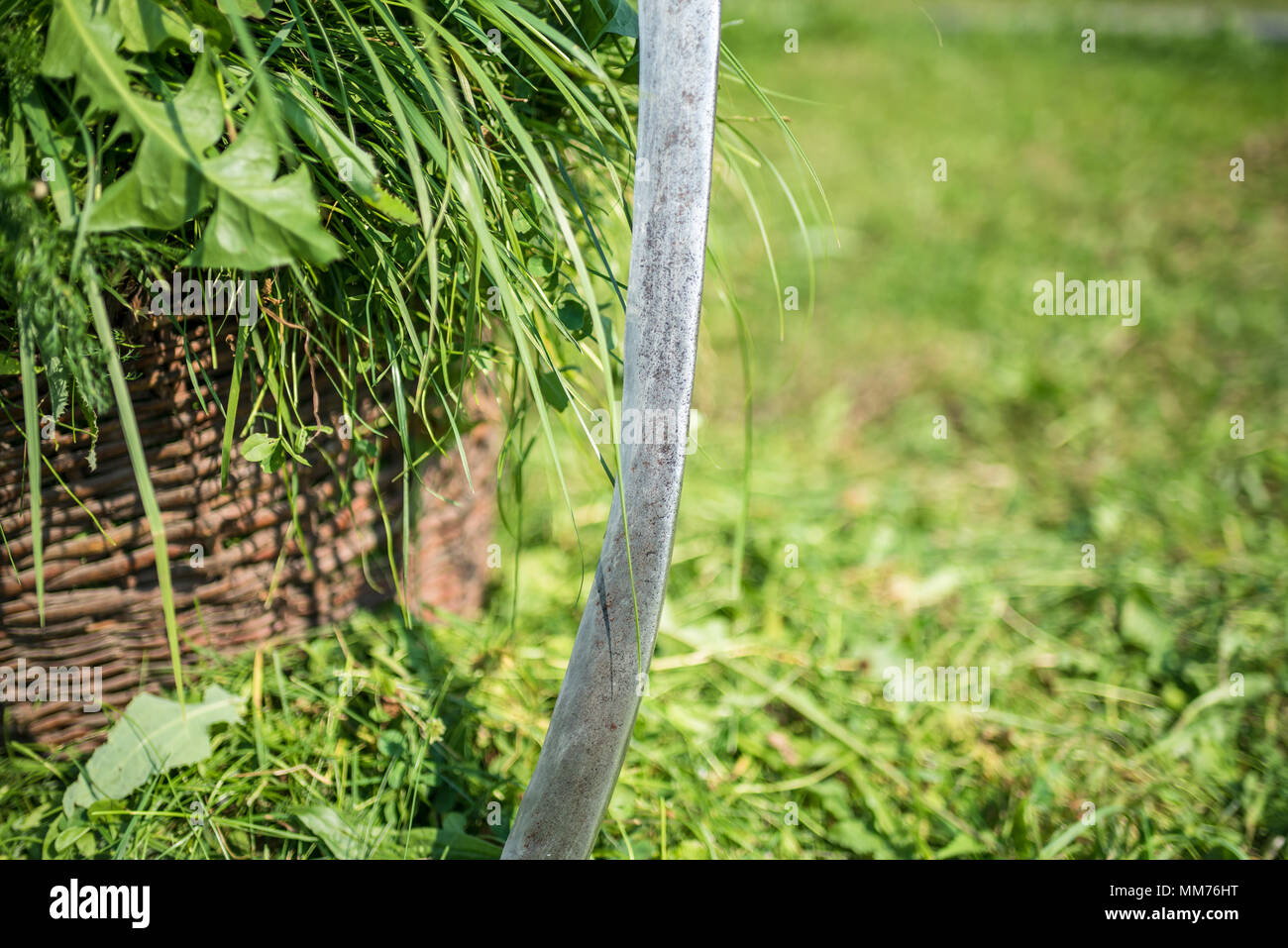 Gras sind in einem Korb, Scythe, Gras mit einem Handgerät, handgefertigte  Mähen, veraltete Methode, auf dem Land, Kopie, Ukraine Stockfotografie -  Alamy
