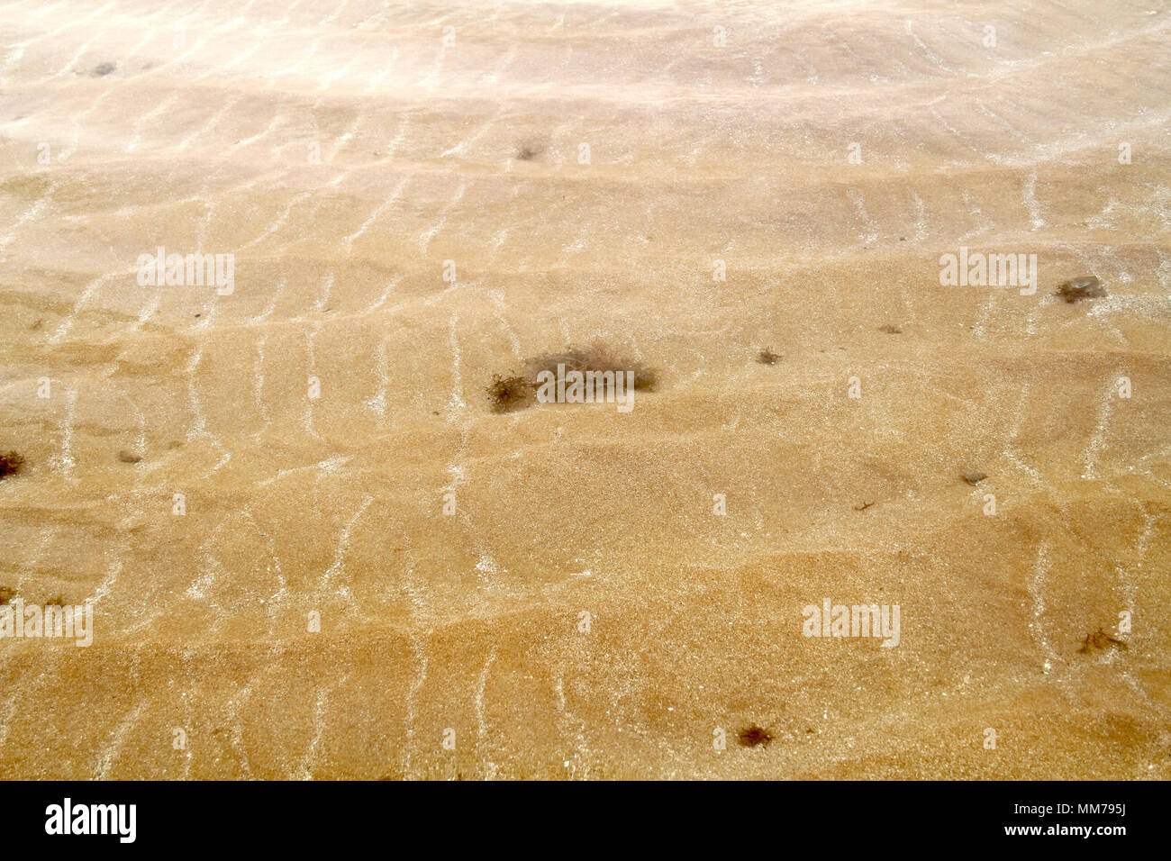 Areia Vermelha Insel, Areia Vermelha Strand, Areia Vermelha Marine State Park, Cabedelo, Paraiba, Brasilien Stockfoto