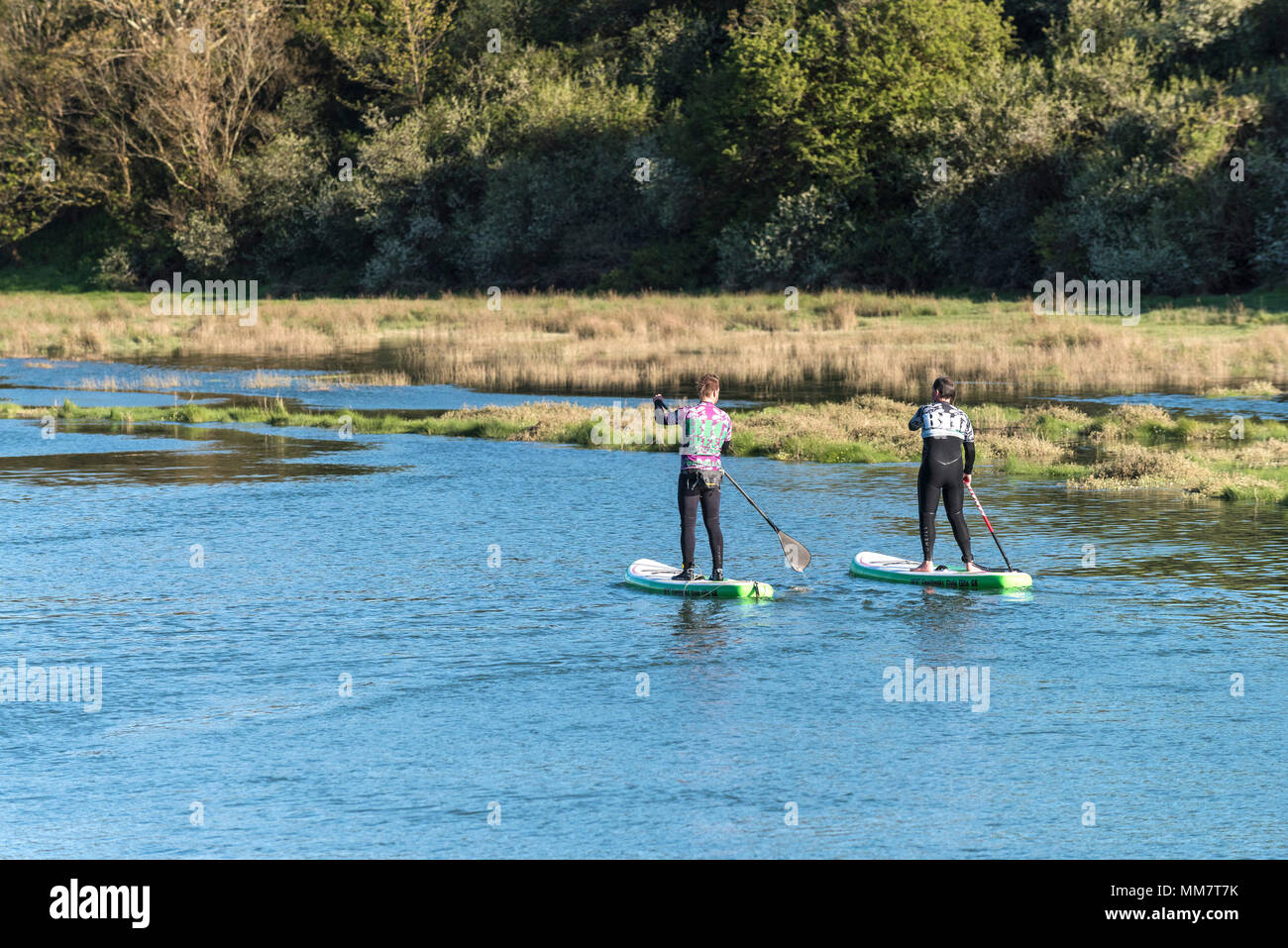 Stand up paddleboarders auf dem Fluss Gannel in Newquay Cornwall. Stockfoto