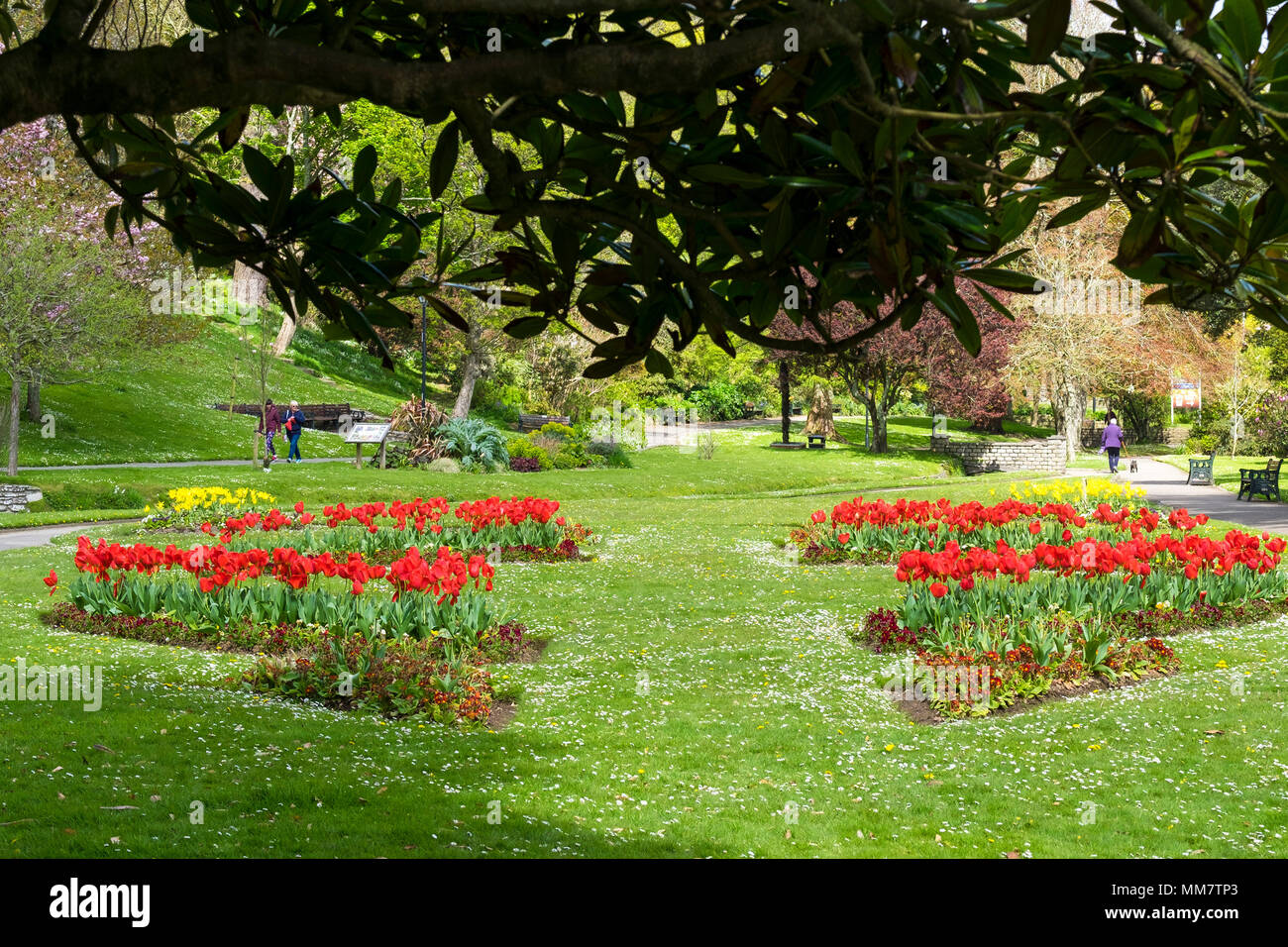 Blumenbeete im trenance Park in Newquay Cornwall. Stockfoto