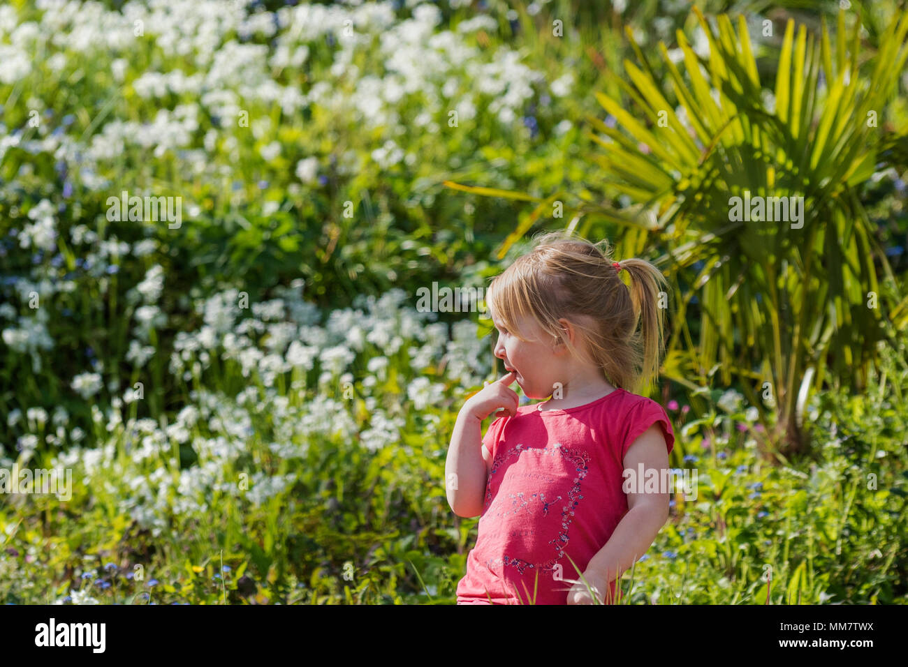 Ein 3 Jahre altes Mädchen stehen in einem Garten voller Blumen. Stockfoto