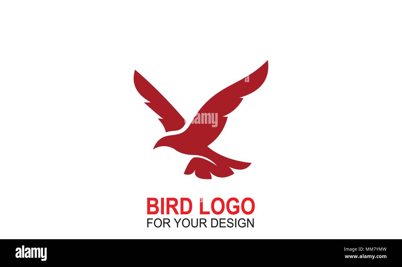 Bird Logo Design, Eagle Logo, kreative Grafik Design, Vector Icons. Stock Vektor