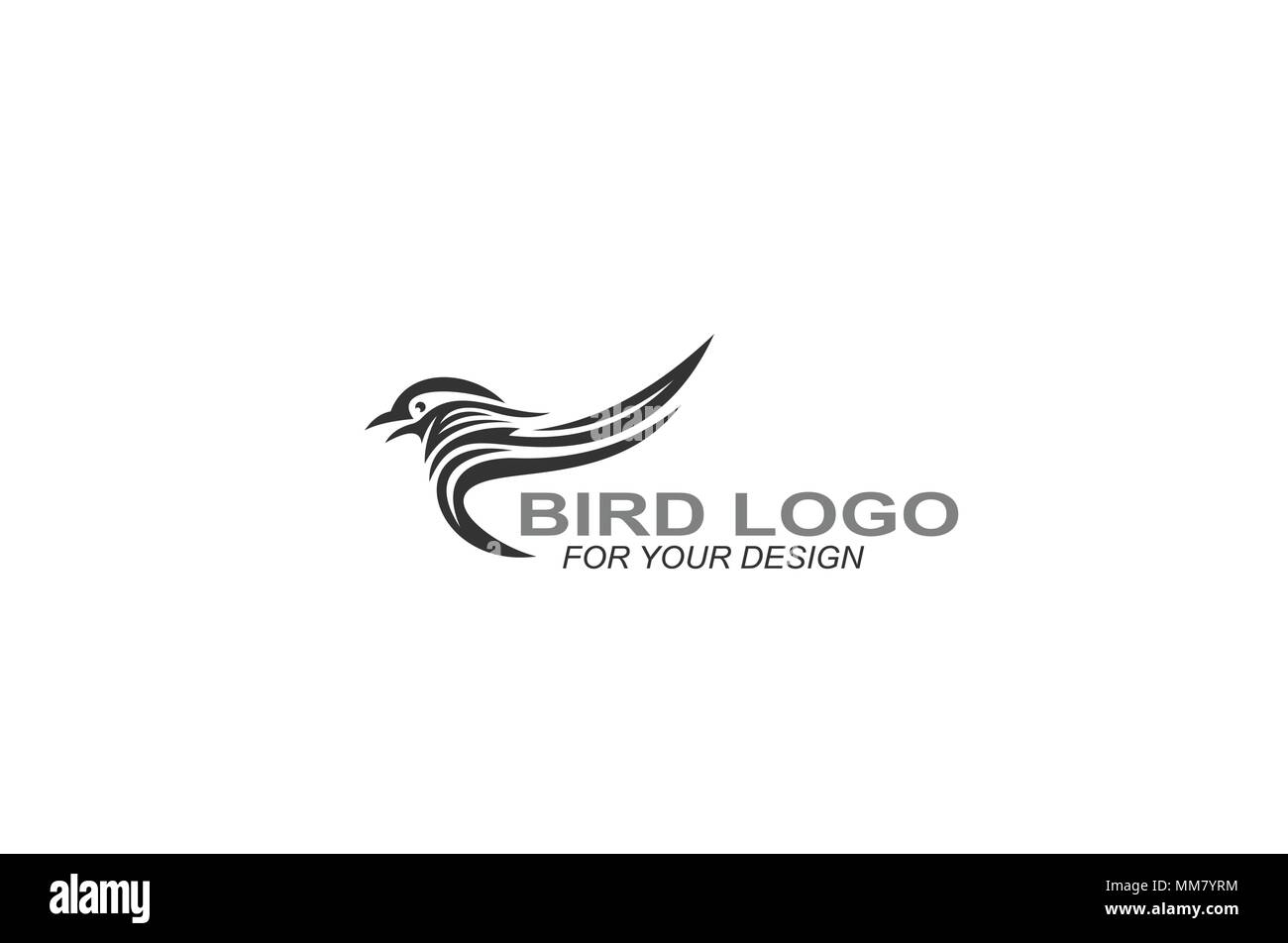 Bird Logo, Vogel, Symbol, kreative Grafik Design, Vector Icons. Stock Vektor