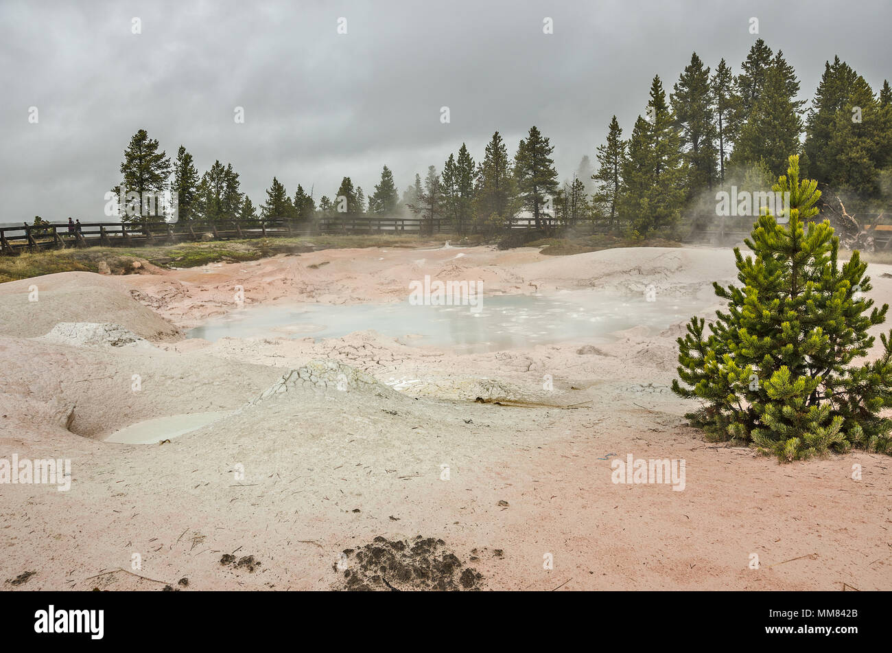 Grauer Himmel, ein bisschen Dampf aus der thermischen Eigenschaften, einige Tageslicht, und Ruhe und Frieden machen Yellowstone ein schöner Ort zu sein. Stockfoto