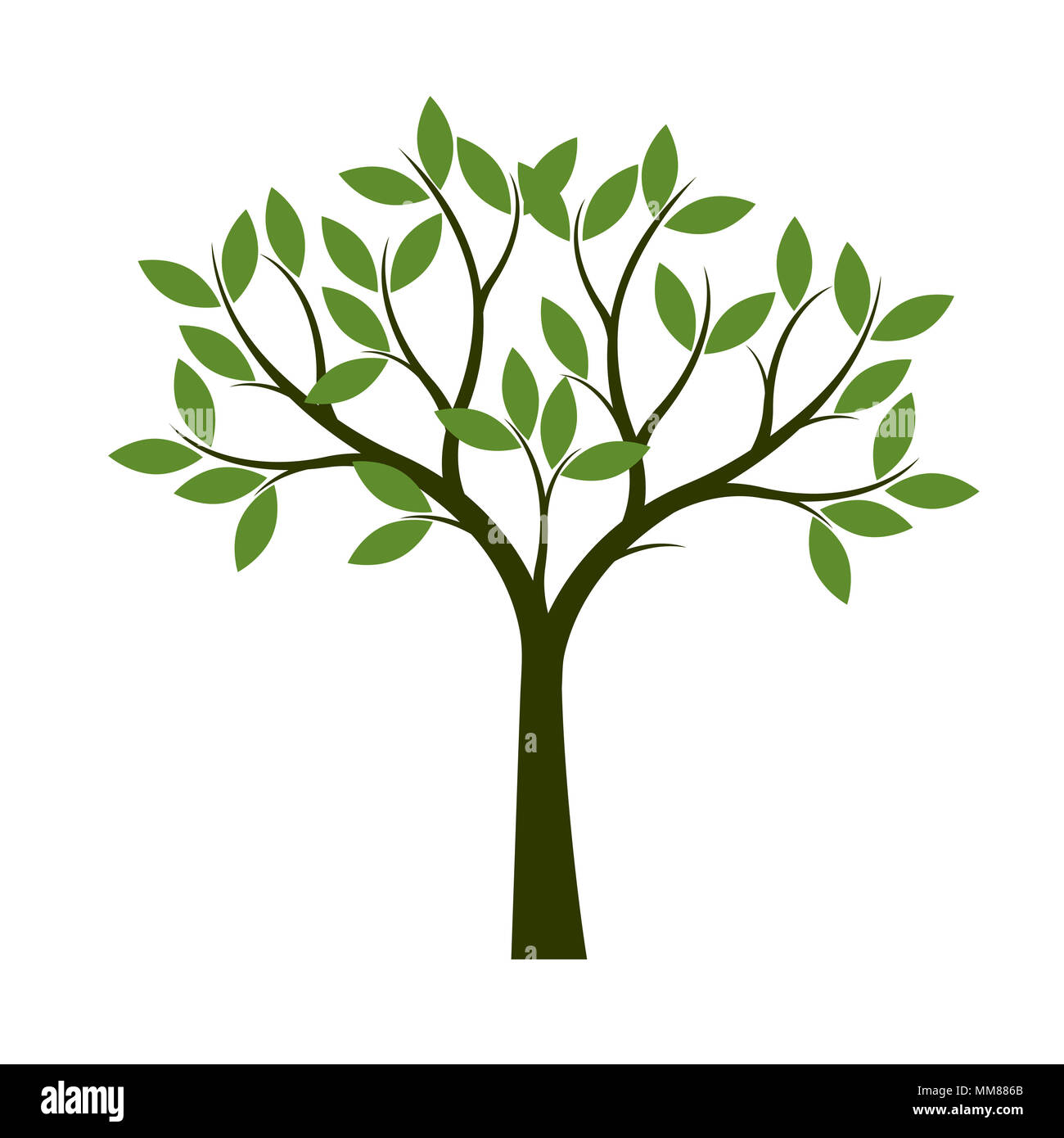 Grüner Baum mit Blättern. Pflanze, Natur und Garten, Vector Illustration. Stockfoto