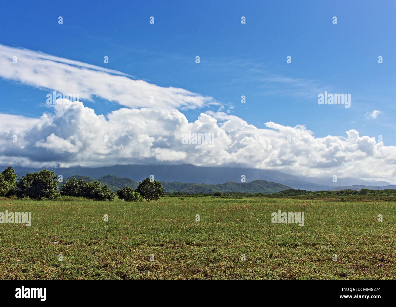 Die Newell Strand hinterland Blick vom oberen Ende der Marine Parade. Stockfoto