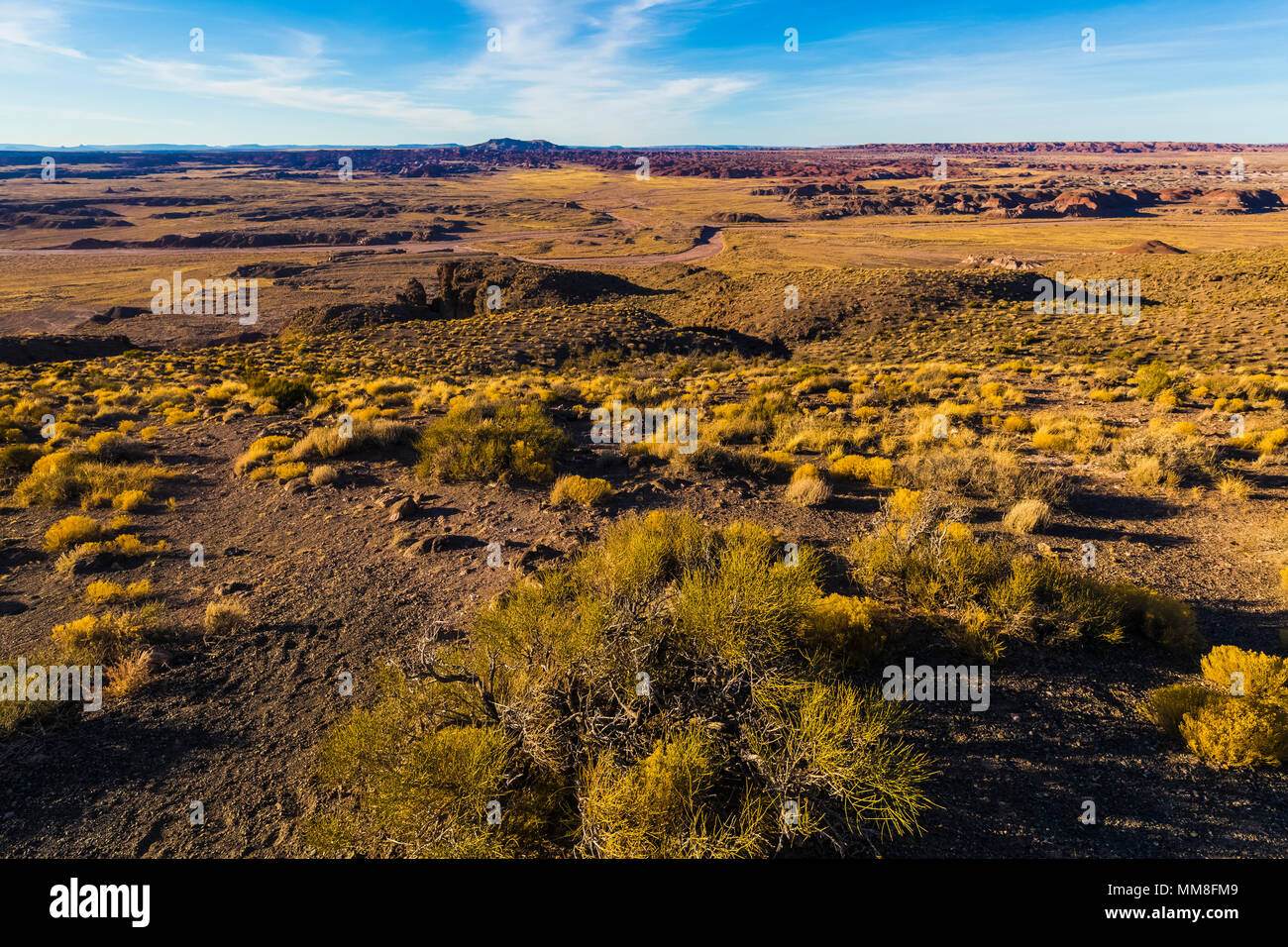 Bunt gemalte Wüste Landschaften gesehen von entlang der Park Road in der Sektion in Petrified Forest National Park nördlich von Interstate 40, Arizona Stockfoto