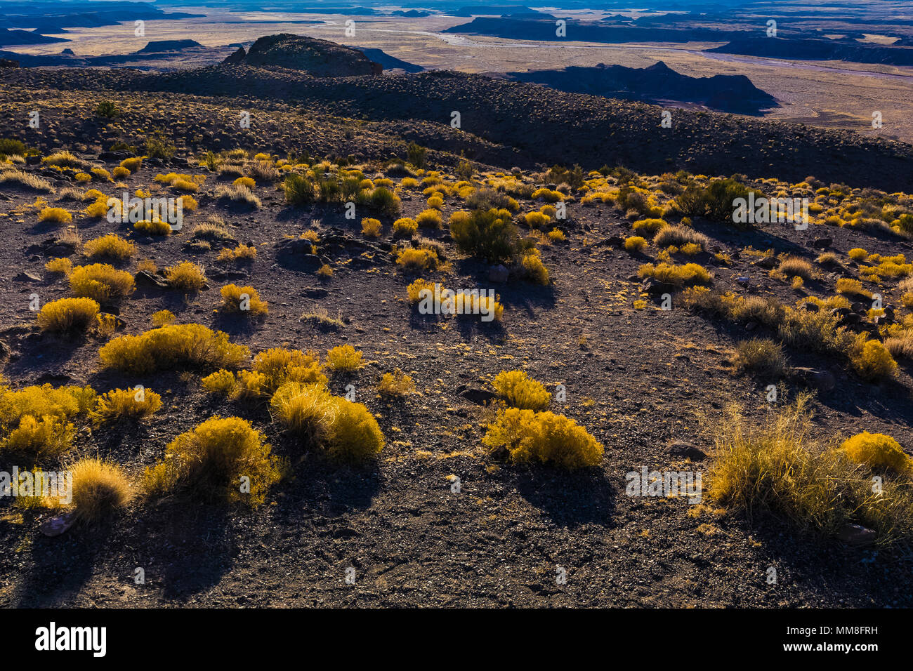 Bunt gemalte Wüste Landschaften gesehen von entlang der Park Road in der Sektion in Petrified Forest National Park nördlich von Interstate 40, Arizona Stockfoto