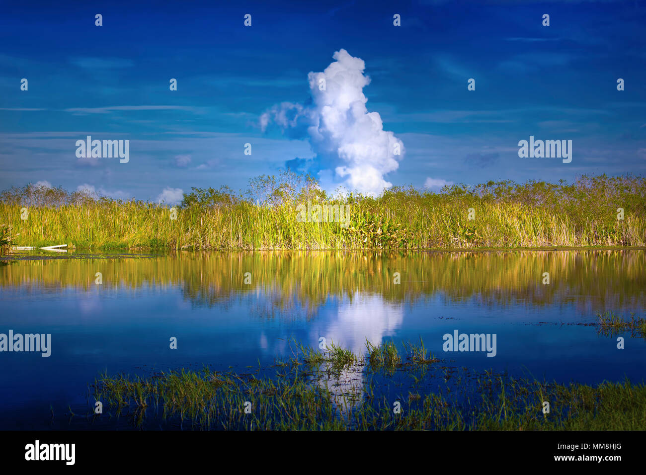 Ein schöner Morgen in den Florida Everglades mit Rauch von einem kontrollierten brennen bis er eine Wolke in der Ferne. Stockfoto