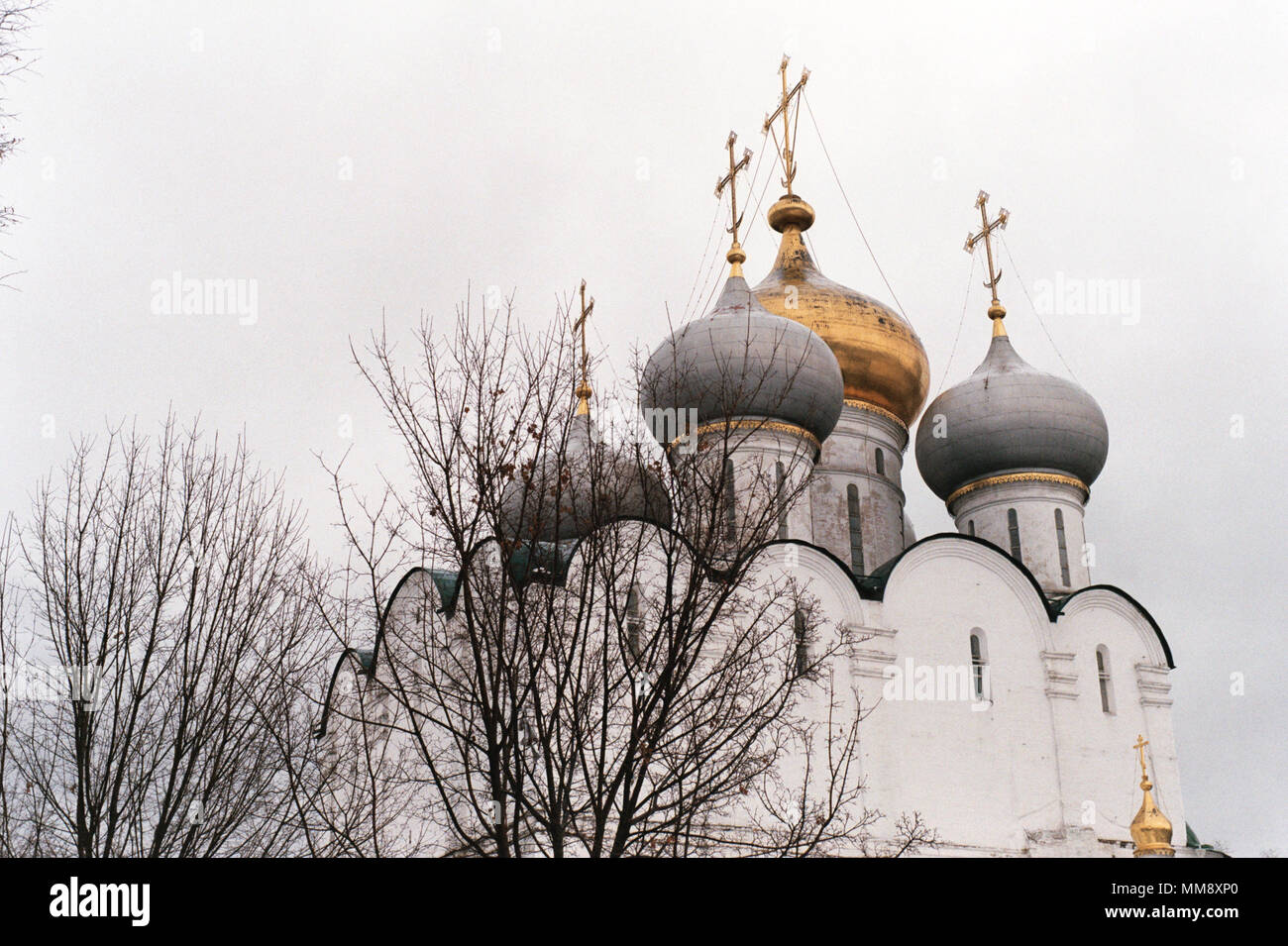 Kuppeln der Smolensky Kathedrale. Neujungfrauenklosters, Moskau, Russland. | 35 mm Film scan - Nikon FE / Nikon Serie E 50 mm f/1.8/Fijifilm C 200 Stockfoto