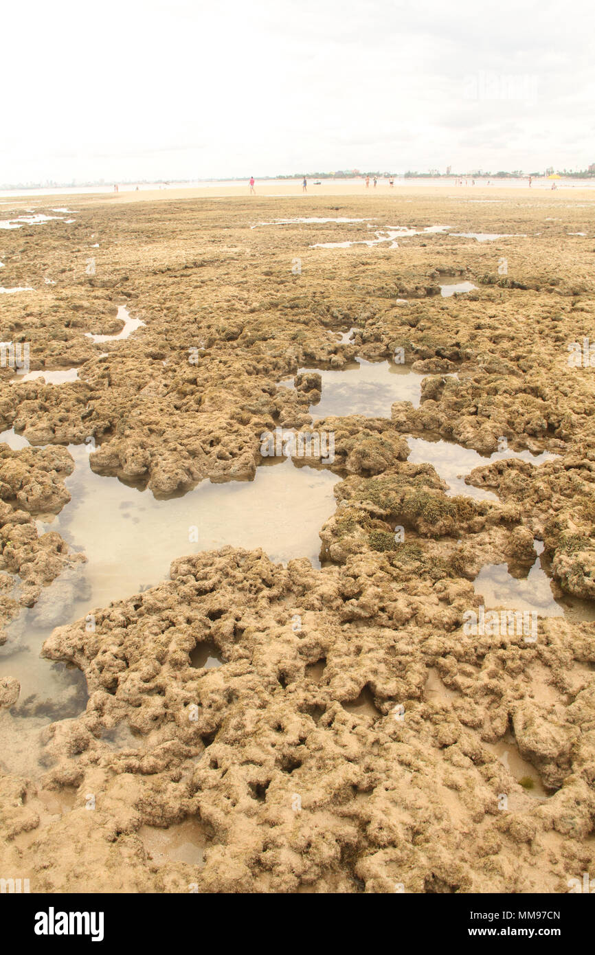 Areia Vermelha Insel, Areia Vermelha Strand, Areia Vermelha Marine State Park, Cabedelo, Paraiba, Brasilien Stockfoto