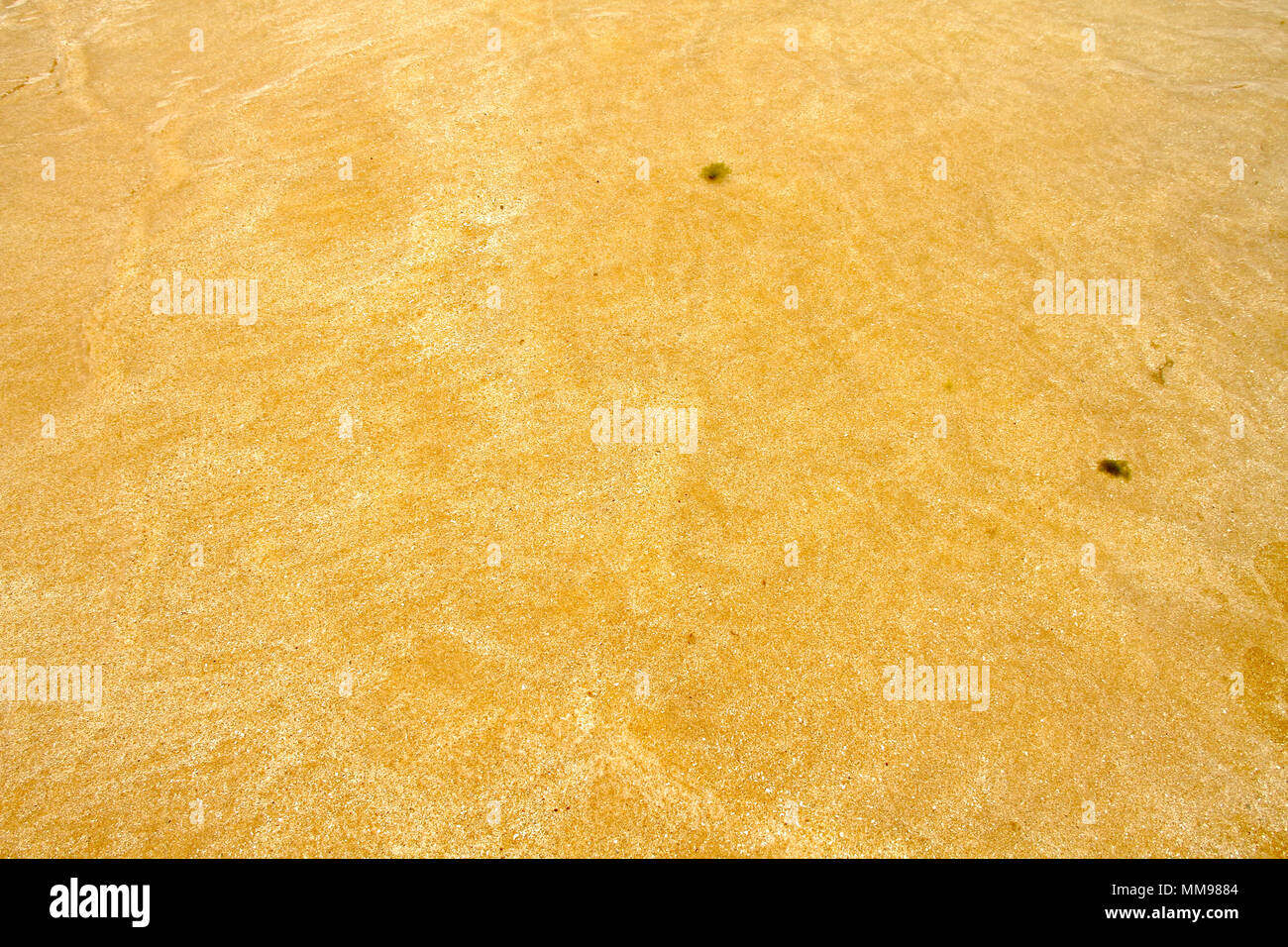 Areia Vermelha Insel, Areia Vermelha Strand, Areia Vermelha Marine State Park, Cabedelo, Paraiba, Brasilien Stockfoto