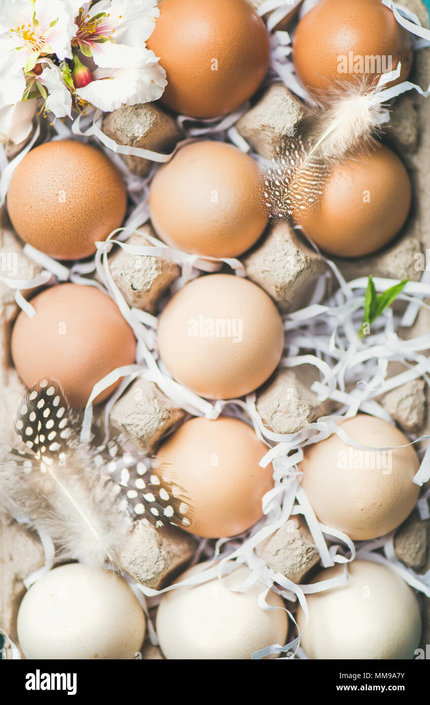 Natürliche bunte Eier für das Osterfest in Box, close-up Stockfoto