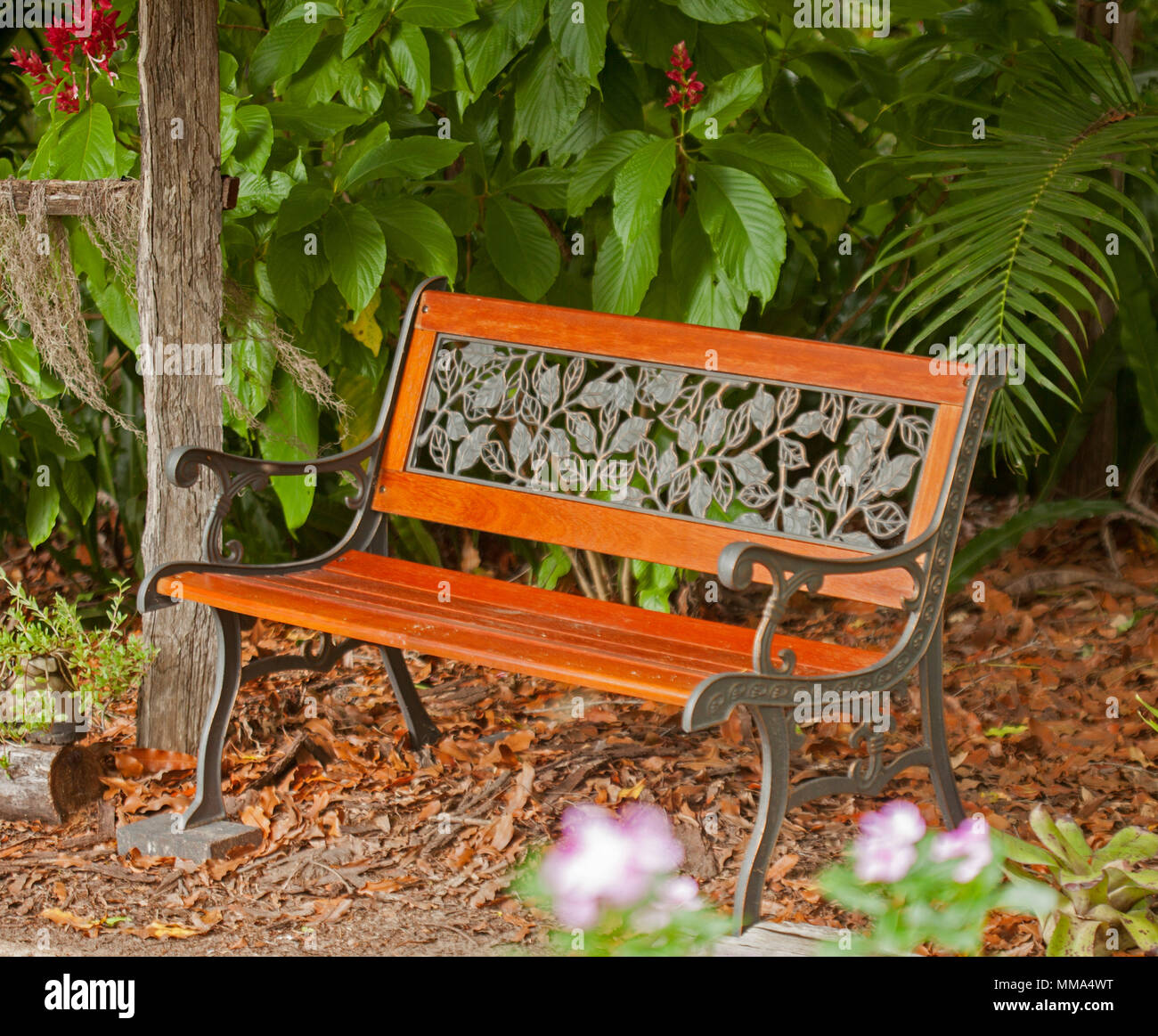 Attraktive Garten Bank mit dekorativen schwarzen schmiedeeisernen Platten und Rahmen und goldbraunen Holz Latten neben Sträuchern mit leuchtend grünem Laub Stockfoto