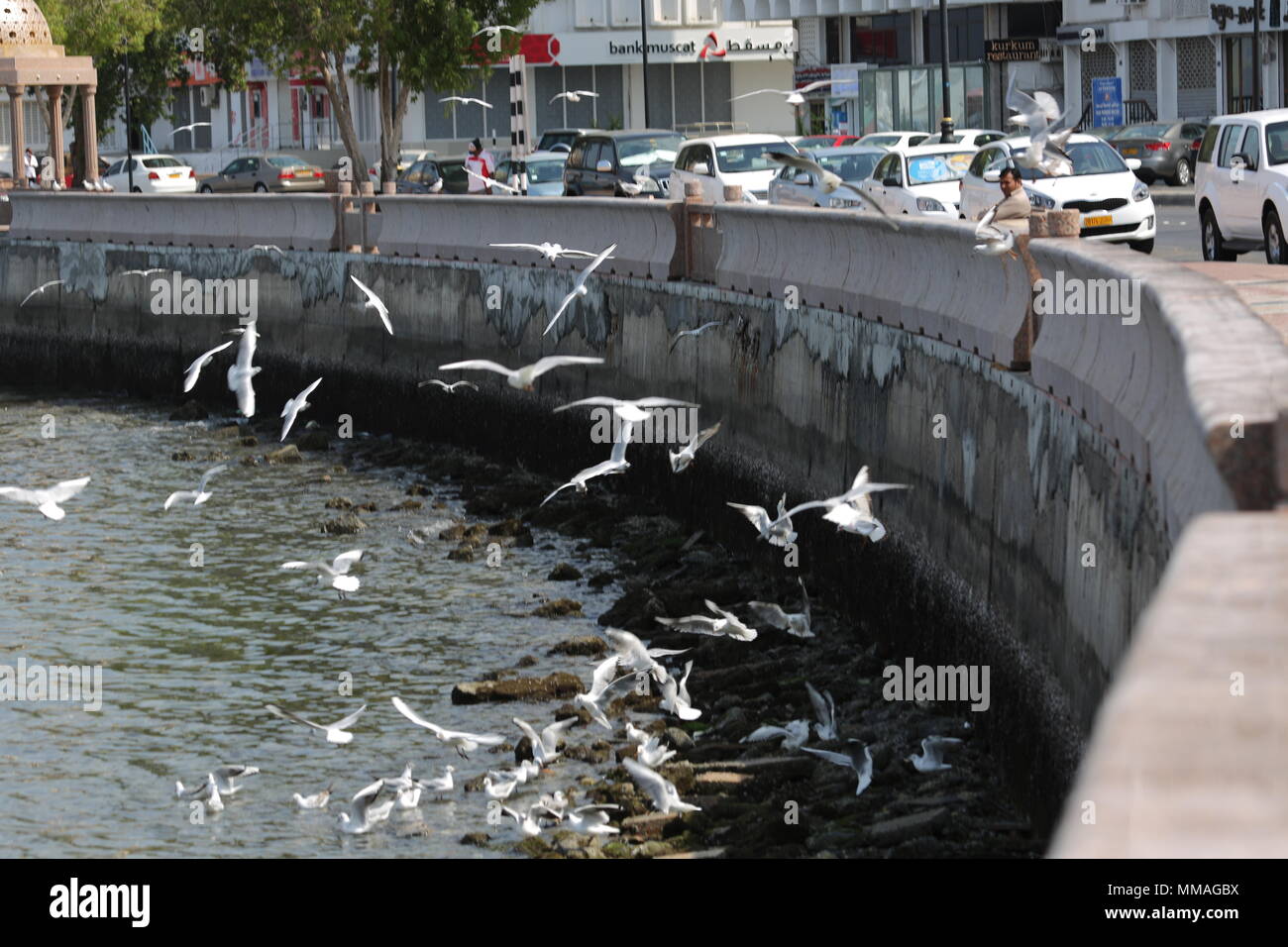 Al Lawati Moschee - Muscat - Sultanat Oman Stockfoto