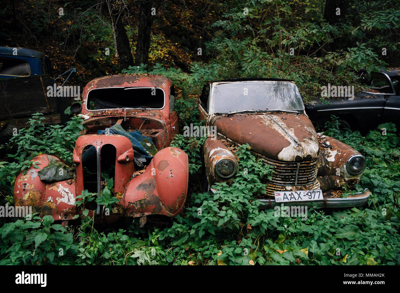 Pasanauri, Georgien - 21. Oktober 2016: Alte verrostet Schrott retro Auto Opel Kapitan 1948, dass im Wald Holz abgebrochen wurde Stockfoto