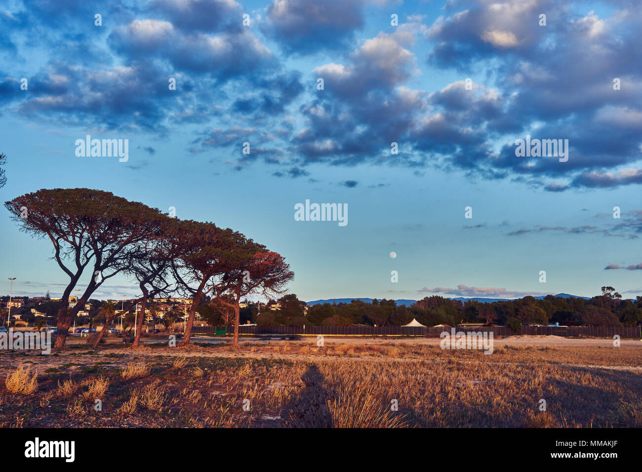 Querformat eines mediterranen Strand mit Bäumen Stockfoto