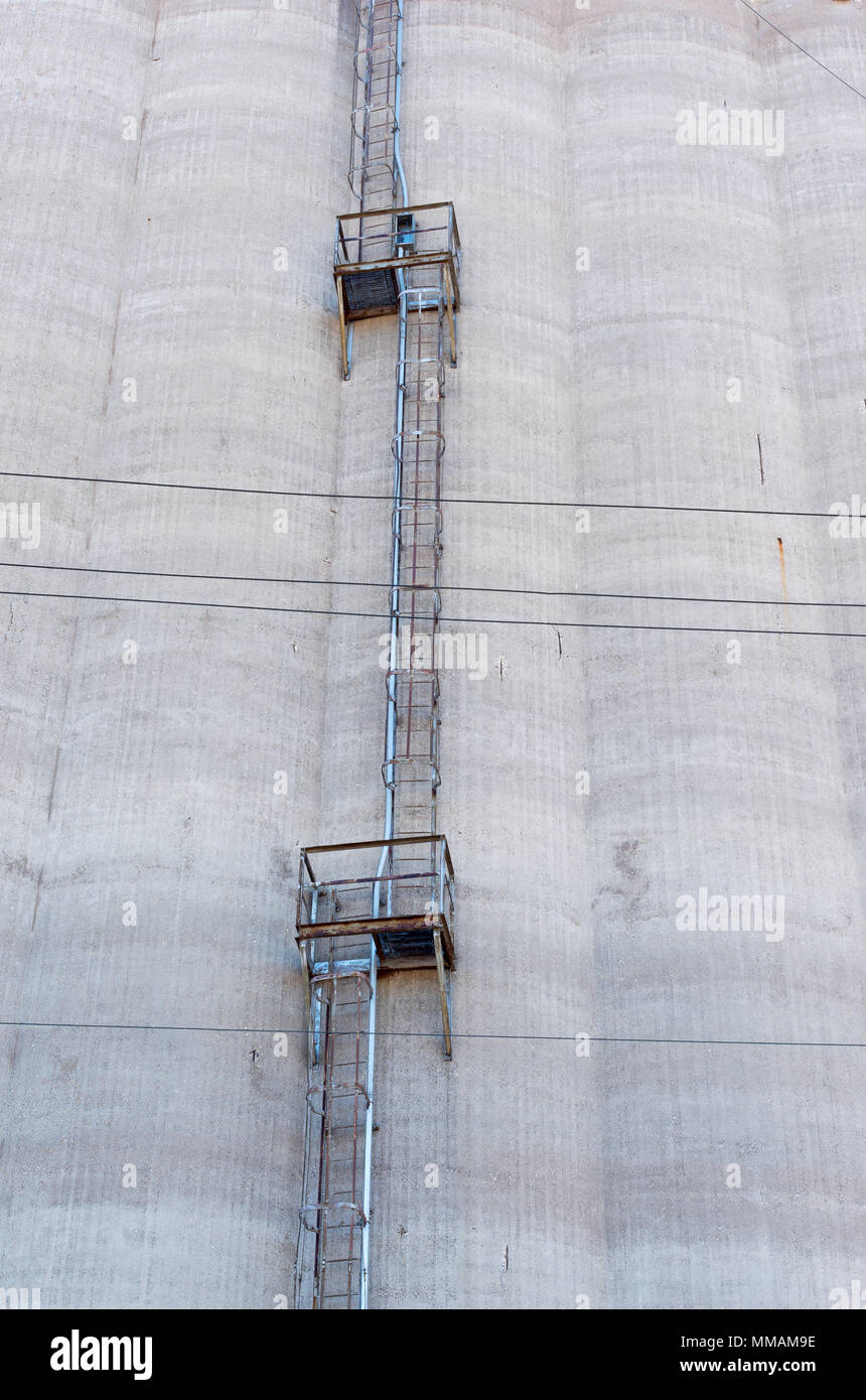 Außenwand von Korn storage Silo- und Leiter mit Plattformen aufsteigend von Silo zum Seitenanfang Stockfoto