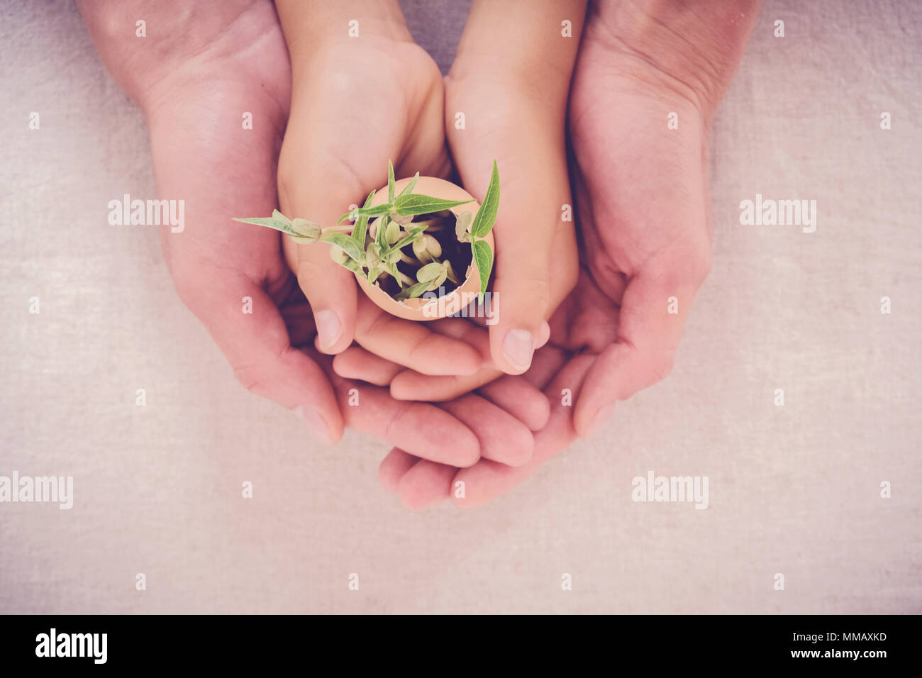 Erwachsener und Kind Hände halten Sämling Pflanzen in Eierschalen, eco Gartenarbeit, Montessori, Bildung, Wiederverwendung, CSR-Konzept Stockfoto