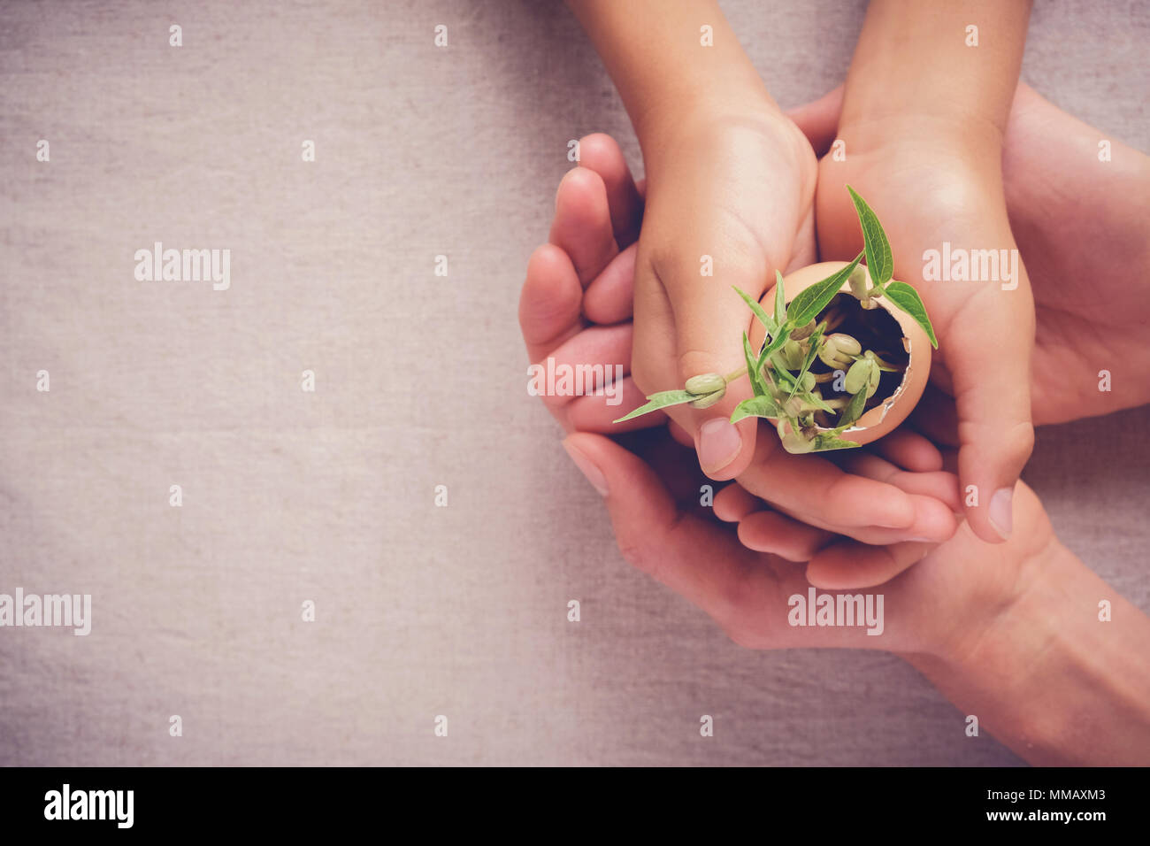 Erwachsener und Kind Hände halten Sämling Pflanzen in Eierschalen, eco Gartenarbeit, Montessori-pädagogik, CSR Corperate soziale Verantwortung Konzept Stockfoto