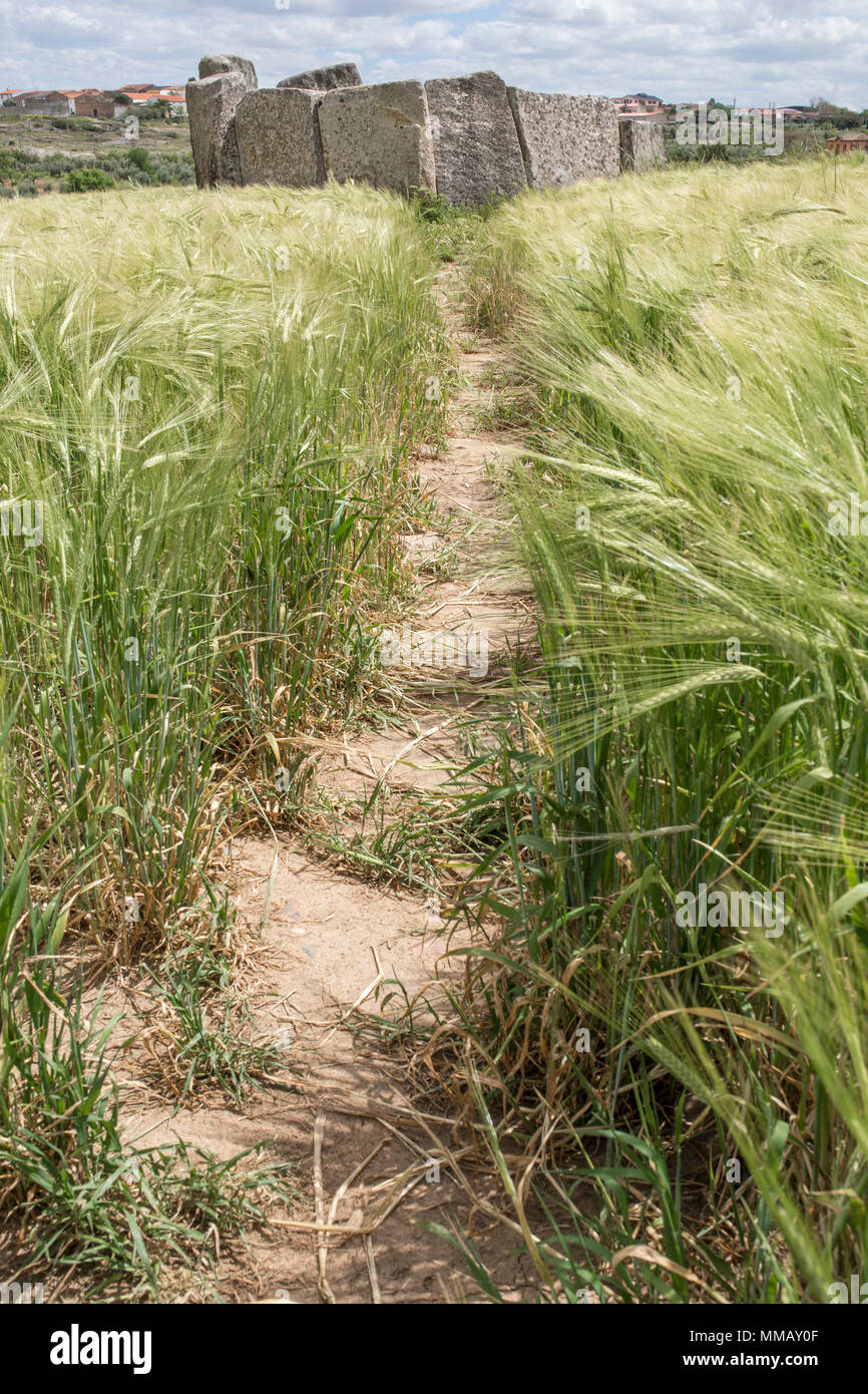 Dolmen von magalithic Magacela antiken Gebäude in der Nähe von Don Benito, Extremadura. Spanien Stockfoto