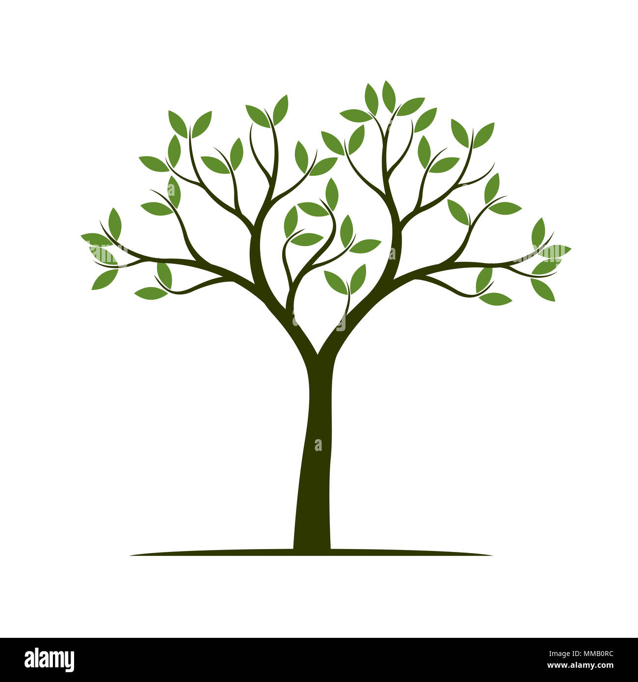 Grüner Baum mit Blättern. Pflanze, Natur und Garten, Vector Illustration. Stockfoto