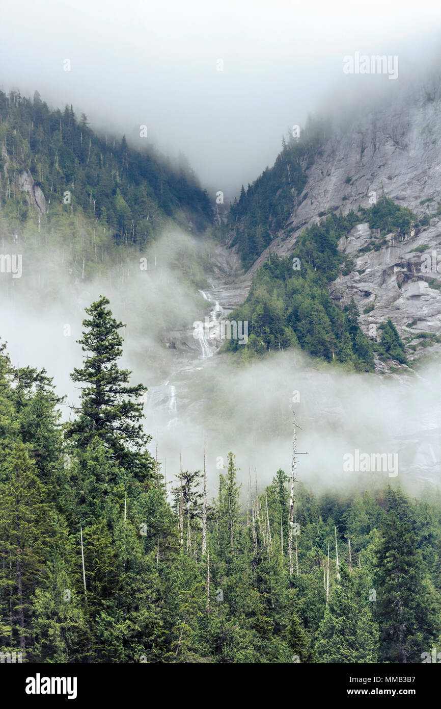 Eine Reihe von Wasserfällen stürzt nach unten zwischen zwei steilen Bergen, die teilweise von Wolken verdeckt sind, in British Columbia Great Bear Rainforest. Stockfoto