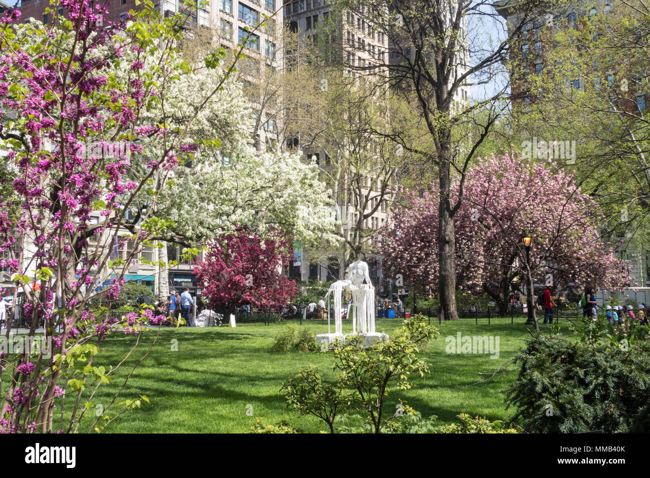 Madison Square Park ist schön in den Frühling mit blühenden Bäumen, NYC, USA Stockfoto