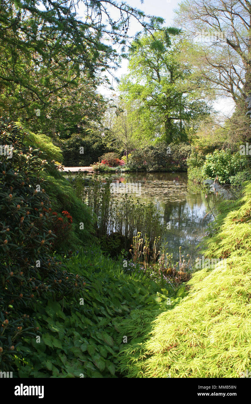 Wakehurst Stockfoto