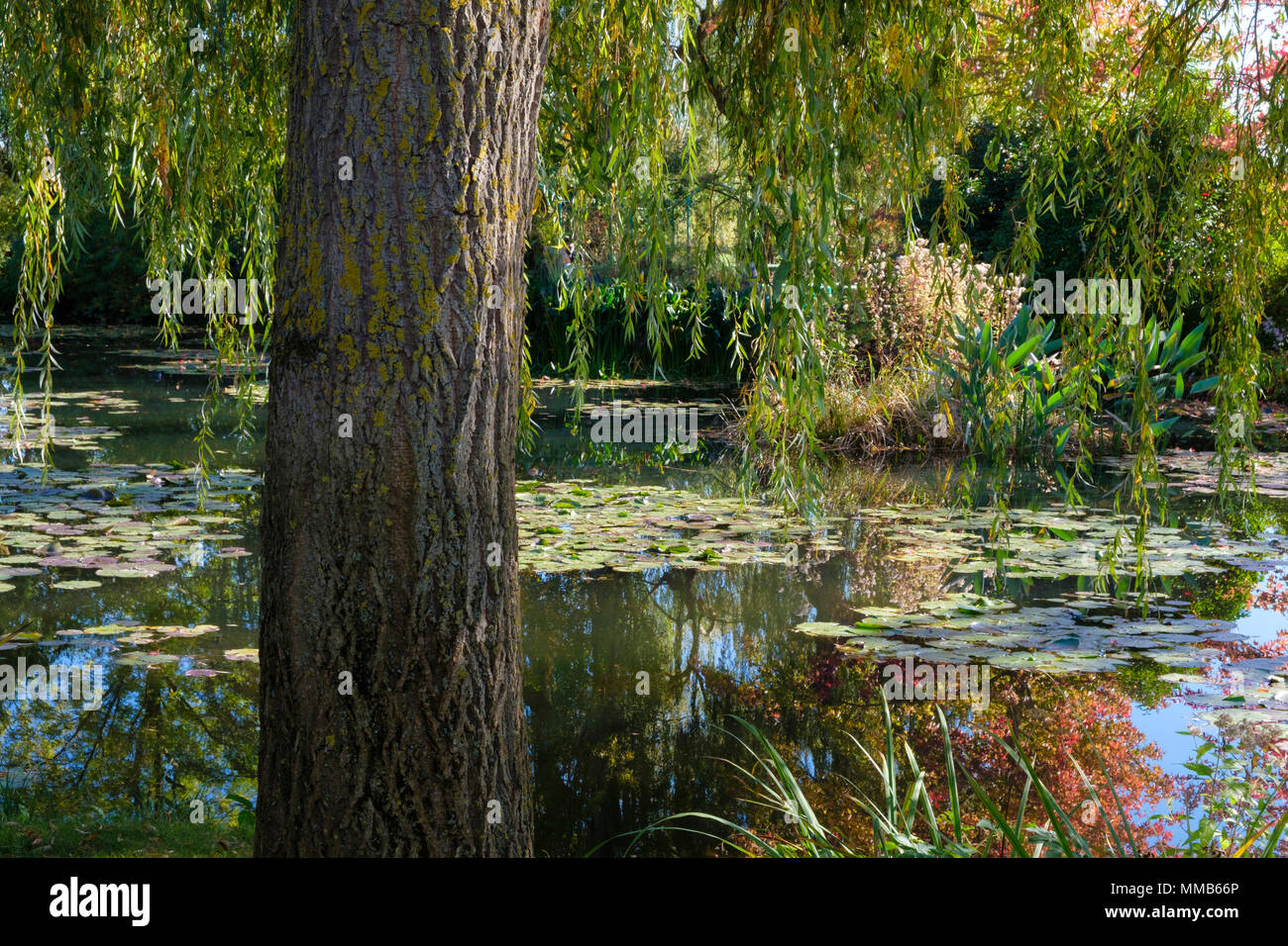 Seerosen und Gärten, das Haus und die Gärten von Claude Monet in Giverny, Frankreich Stockfoto
