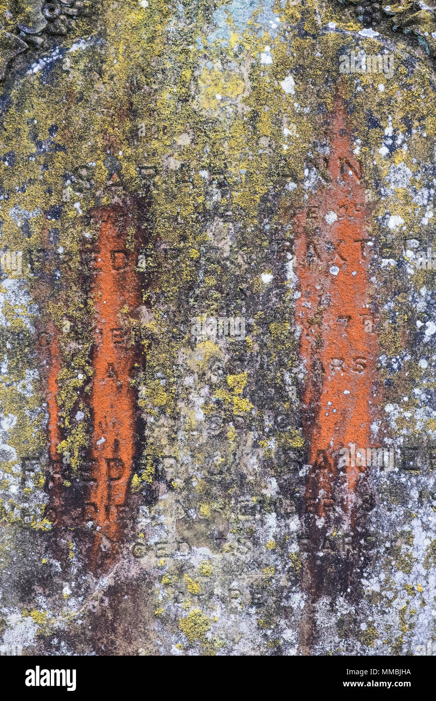 In der Nähe von alten Grabstein in Moos und orange Flechten bedeckt. Stockfoto