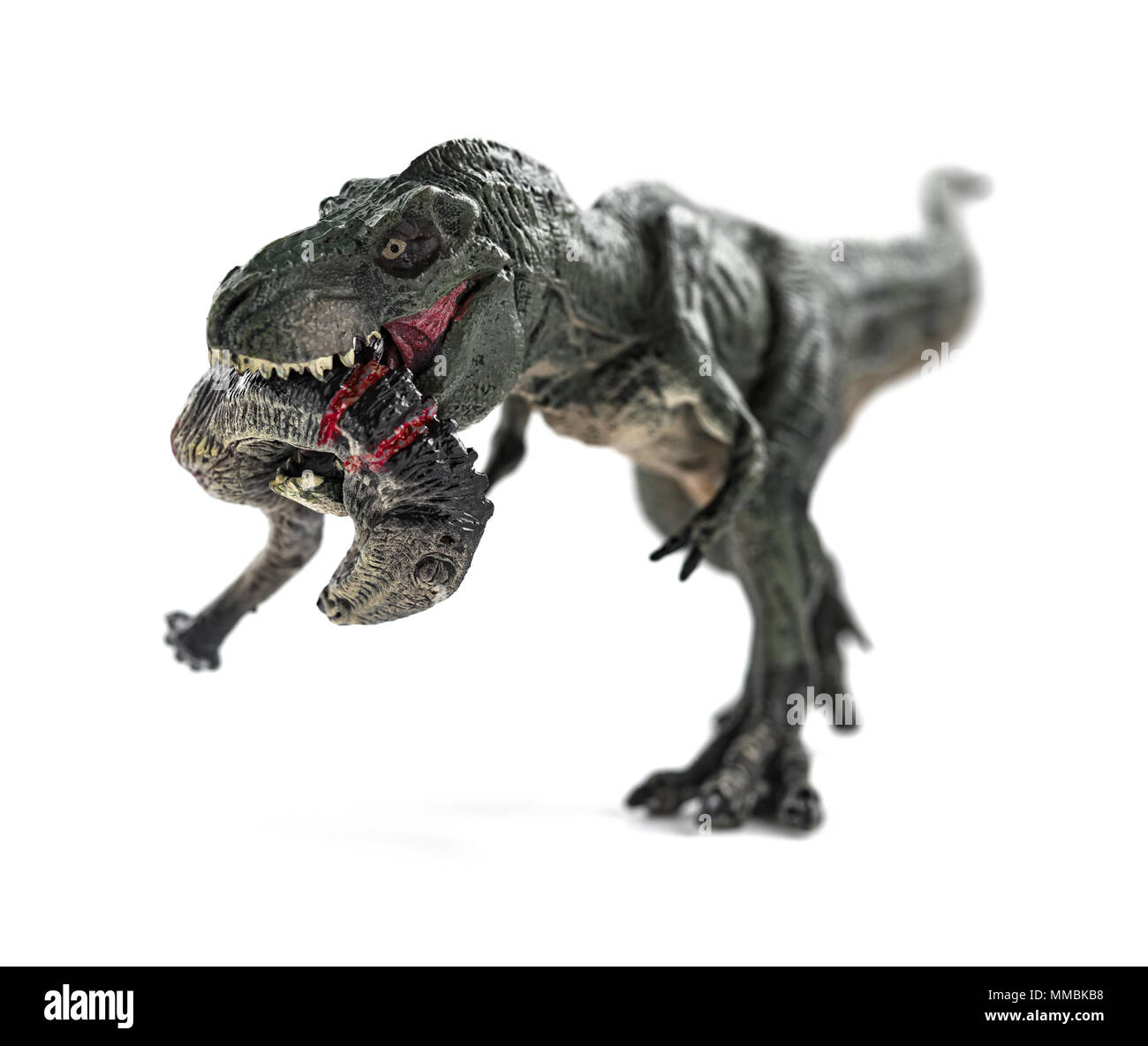 Tyrannosaurus beißen ein Dinosaurier Körper mit Blut auf weißen Stockfoto