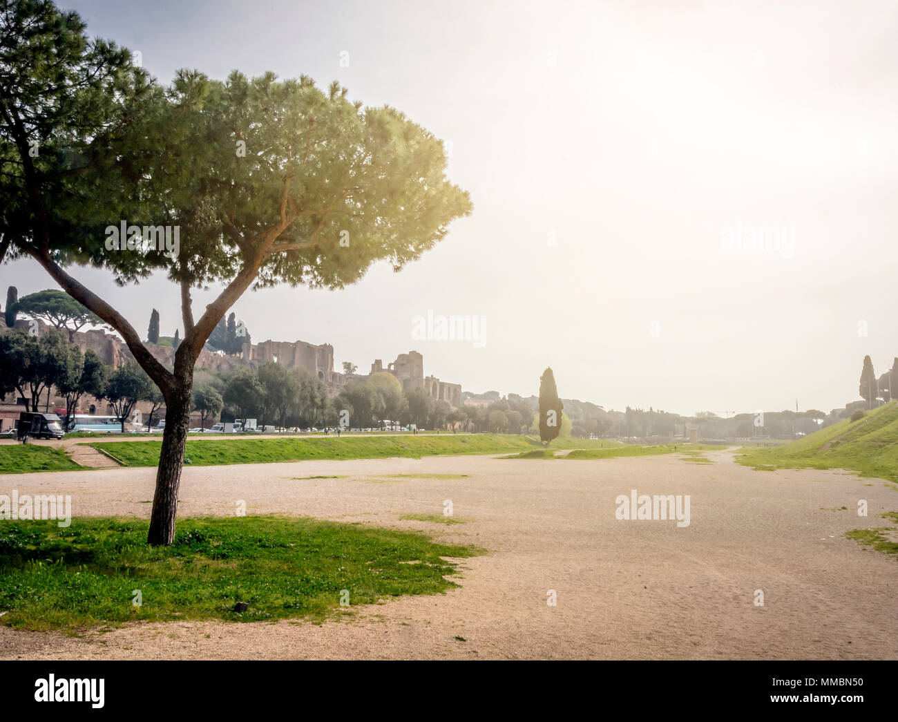 Die Überreste der berühmten Circus Maximus in Rom mit der berühmten Römischen Pinien und Zypressen Baum im Hintergrund. Zurück Licht an einem bewölkten Tag Stockfoto