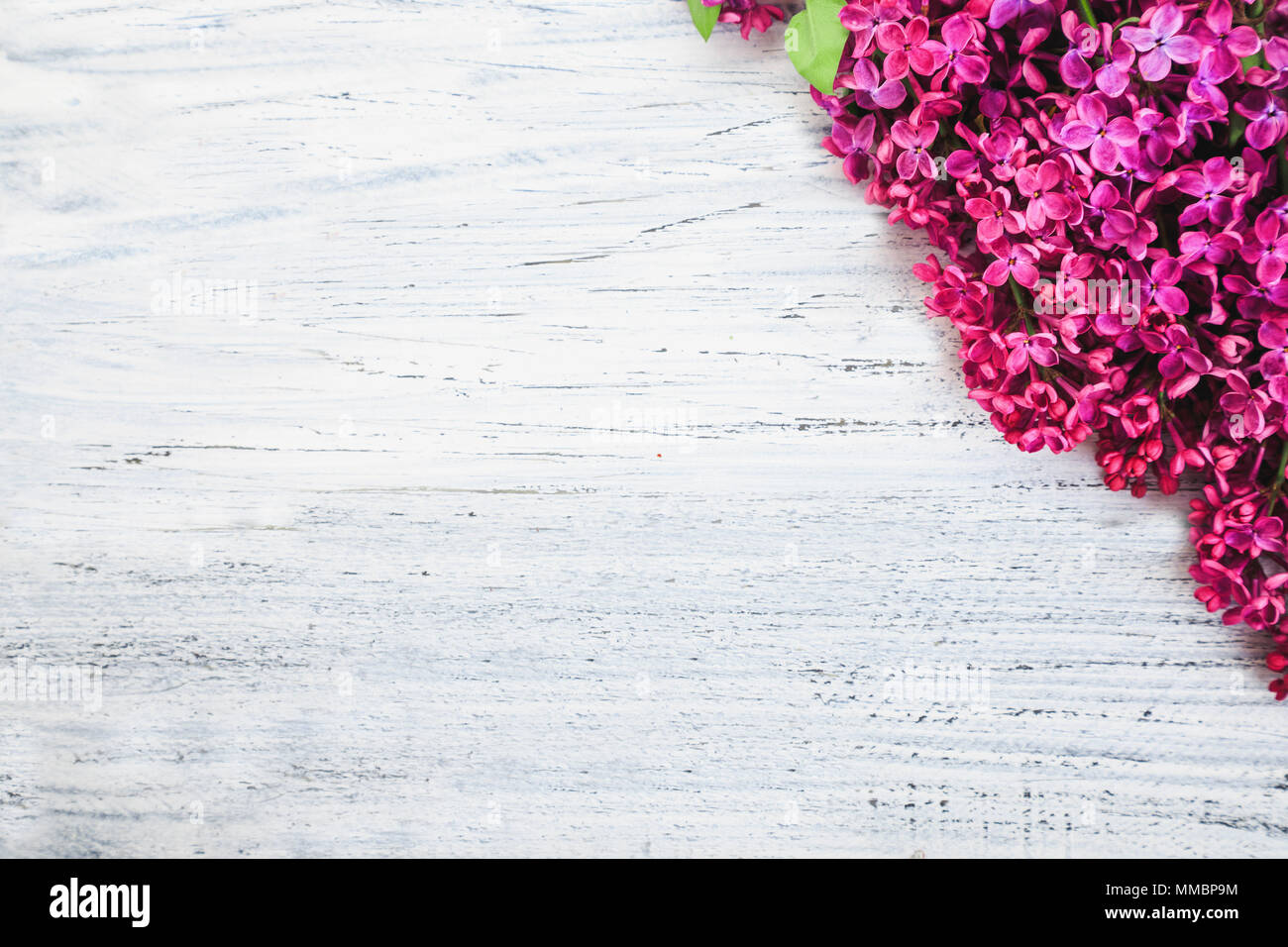 Frisches lila Blumen auf dem hölzernen vintage Hintergrund. Stockfoto