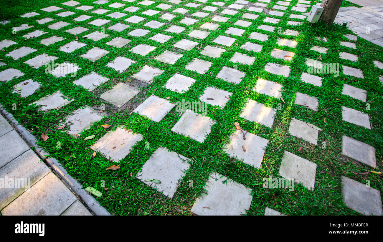 Grünen Garten Architektur Design. Stockfoto