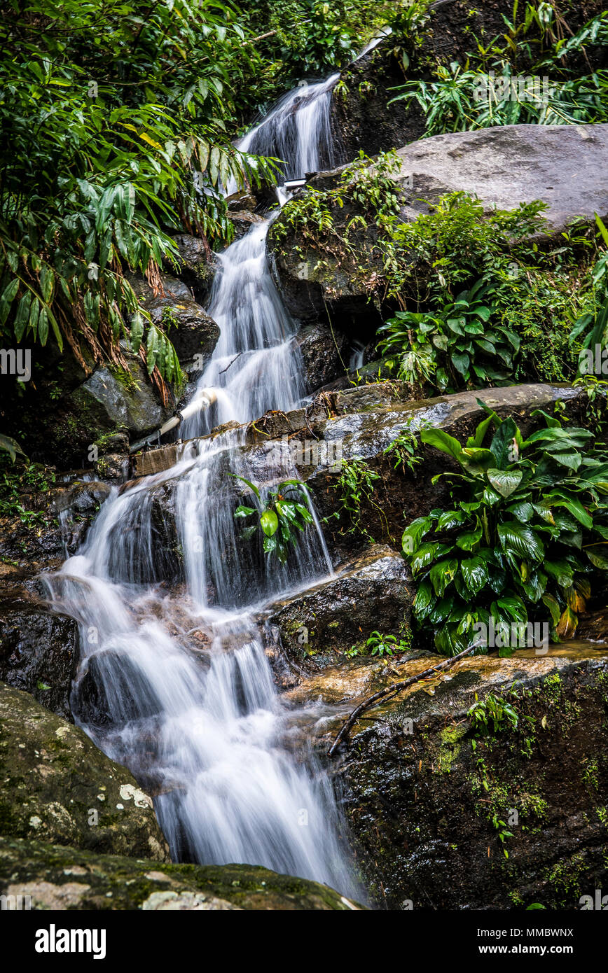 Rio De Janeiro Wasserfall in Tijuca Wald Stockfoto