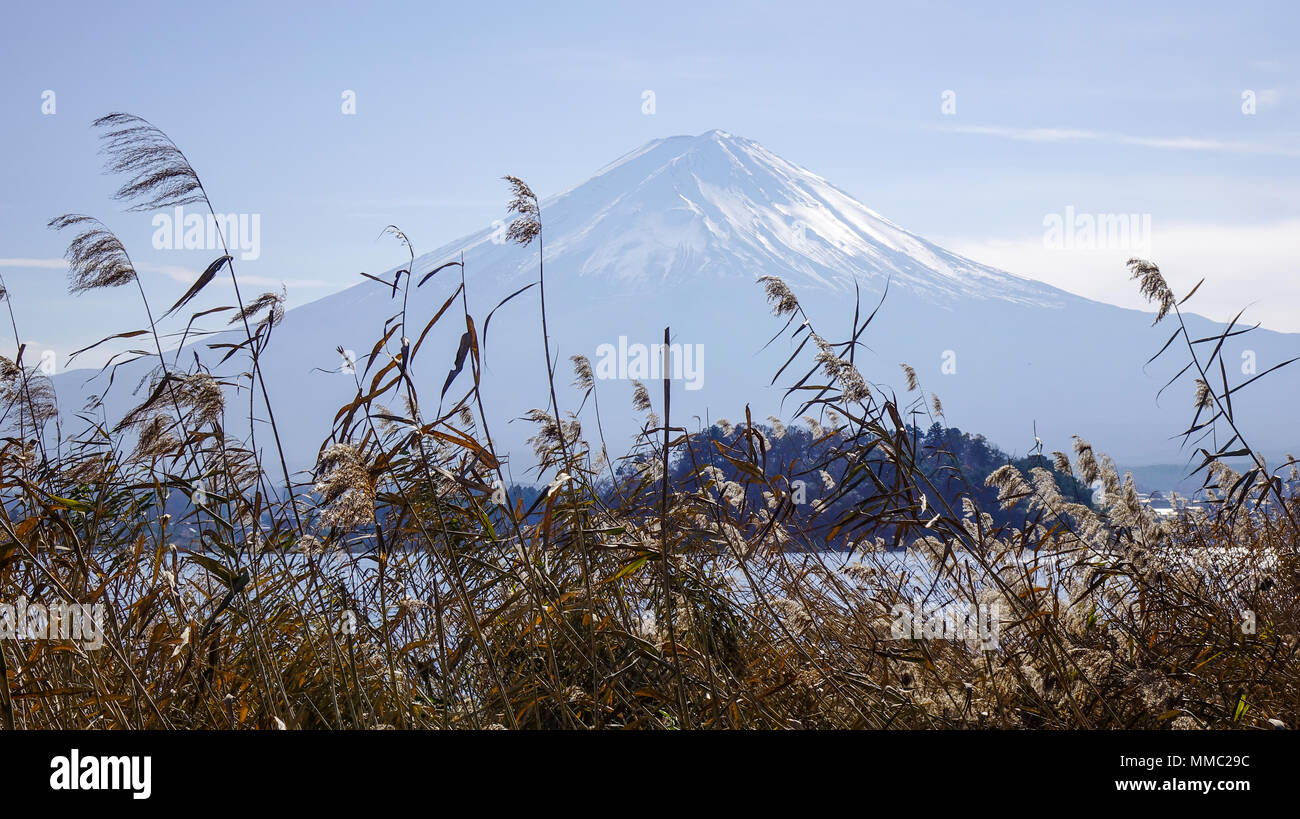 Mount Fuji an sonnigen Tag. Blick von kawaguchiko See. Stockfoto