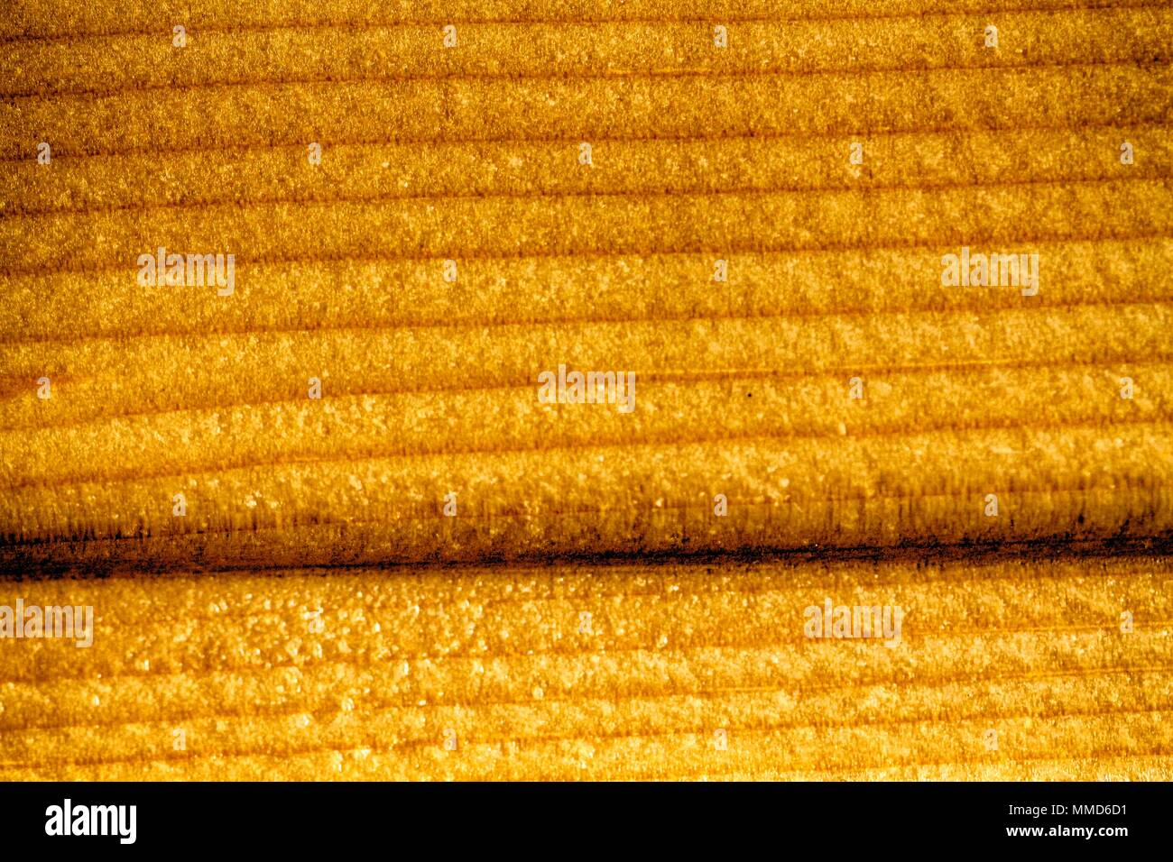 Ultra gelb Holz- Textur, leere Holz Hintergrund. Stockfoto