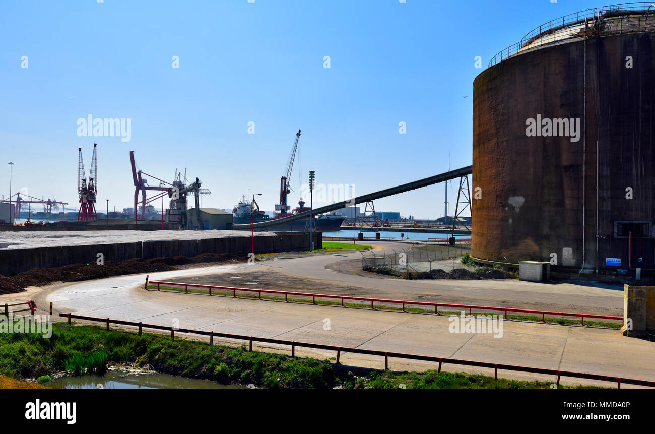 Industrielle Landschaft mit Kränen, Lagertanks, Schiffe, Avonmouth Docks, Bristol, Großbritannien Stockfoto
