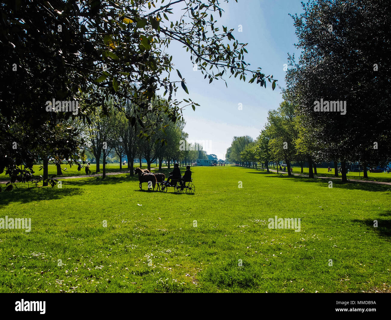 Ein Pferd und Wagen in einem Land Park Stockfoto